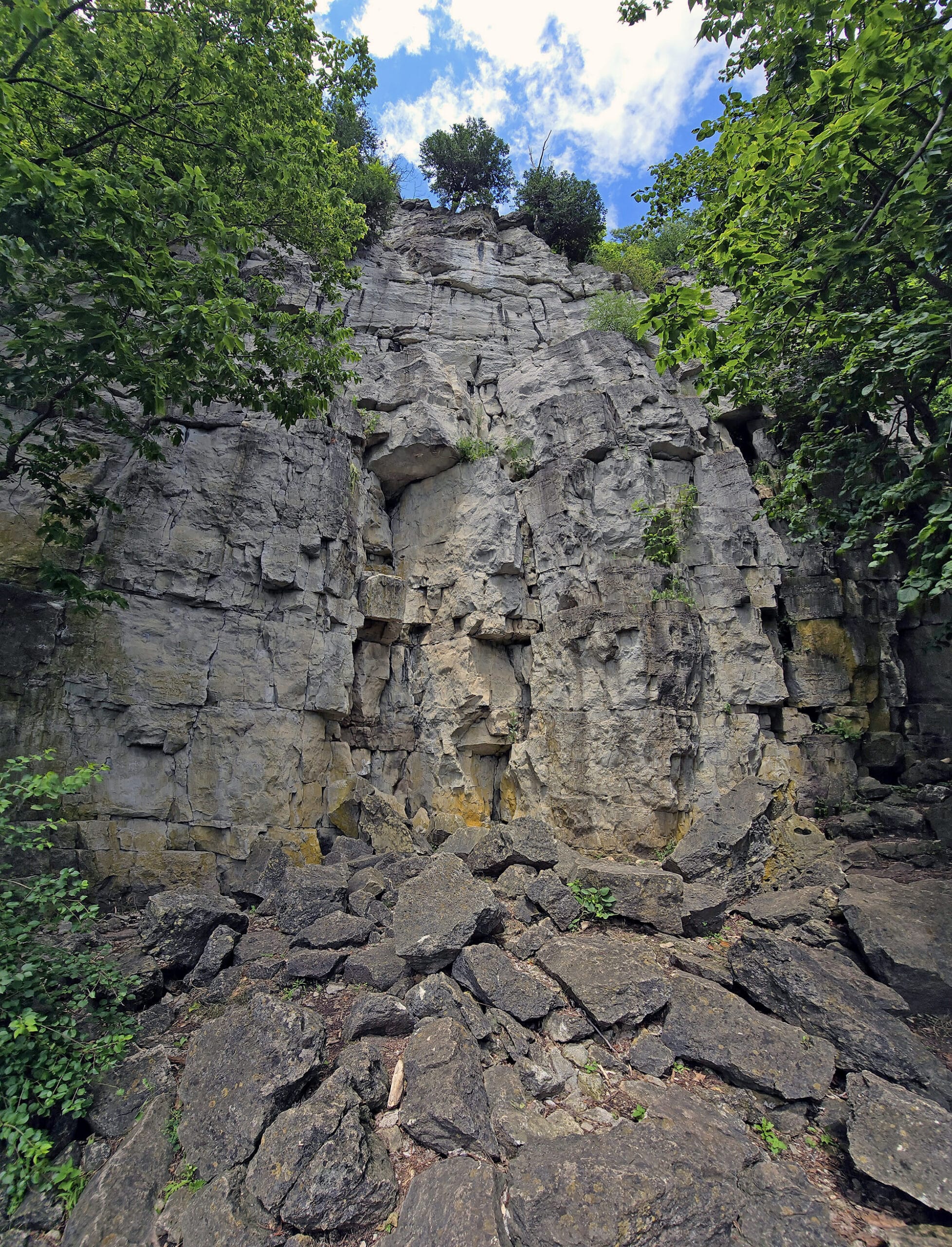 A tall, rocky cliff at rattlesnake point conservation area.