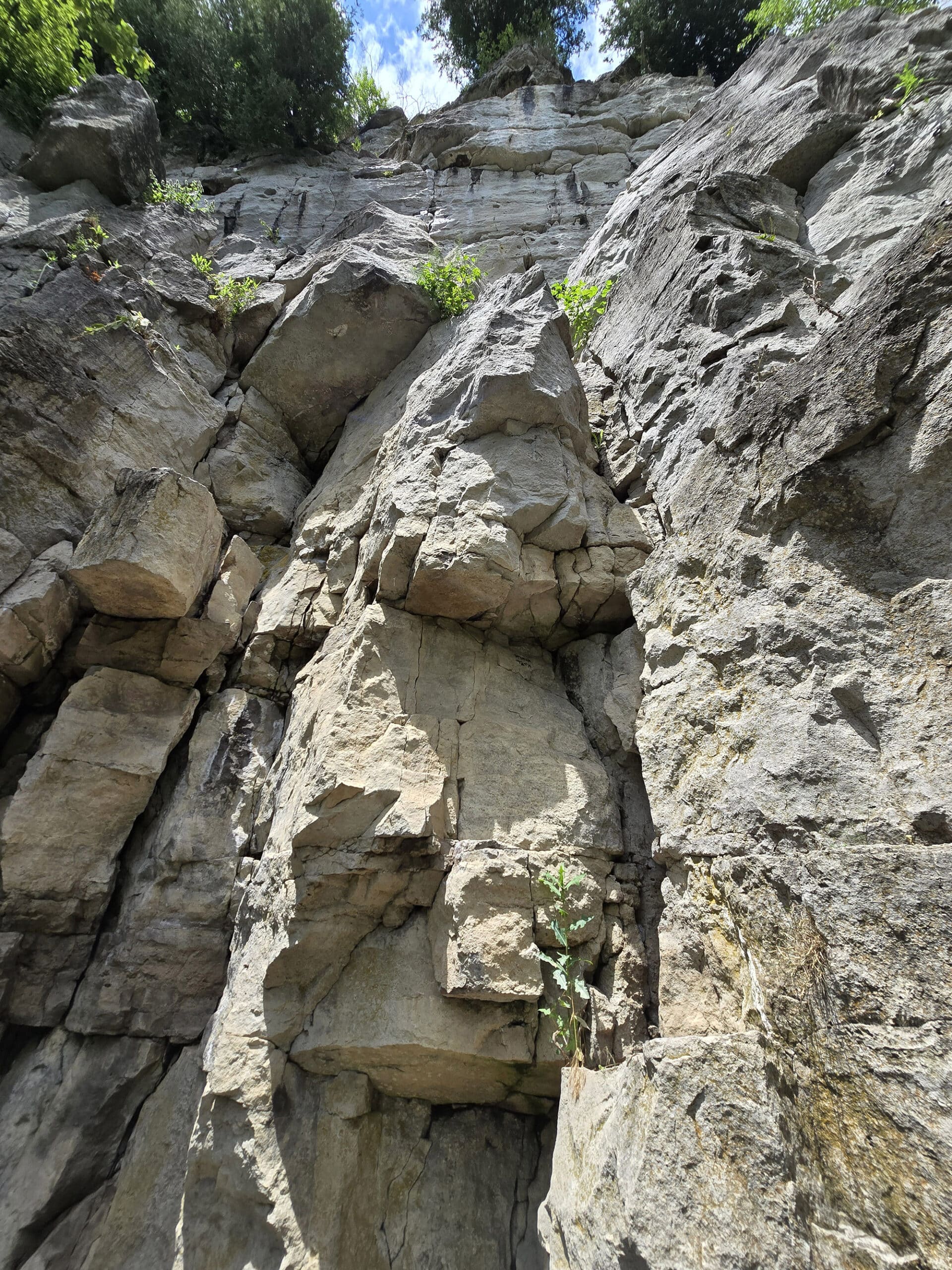 A tall, rocky cliff at rattlesnake point conservation area.