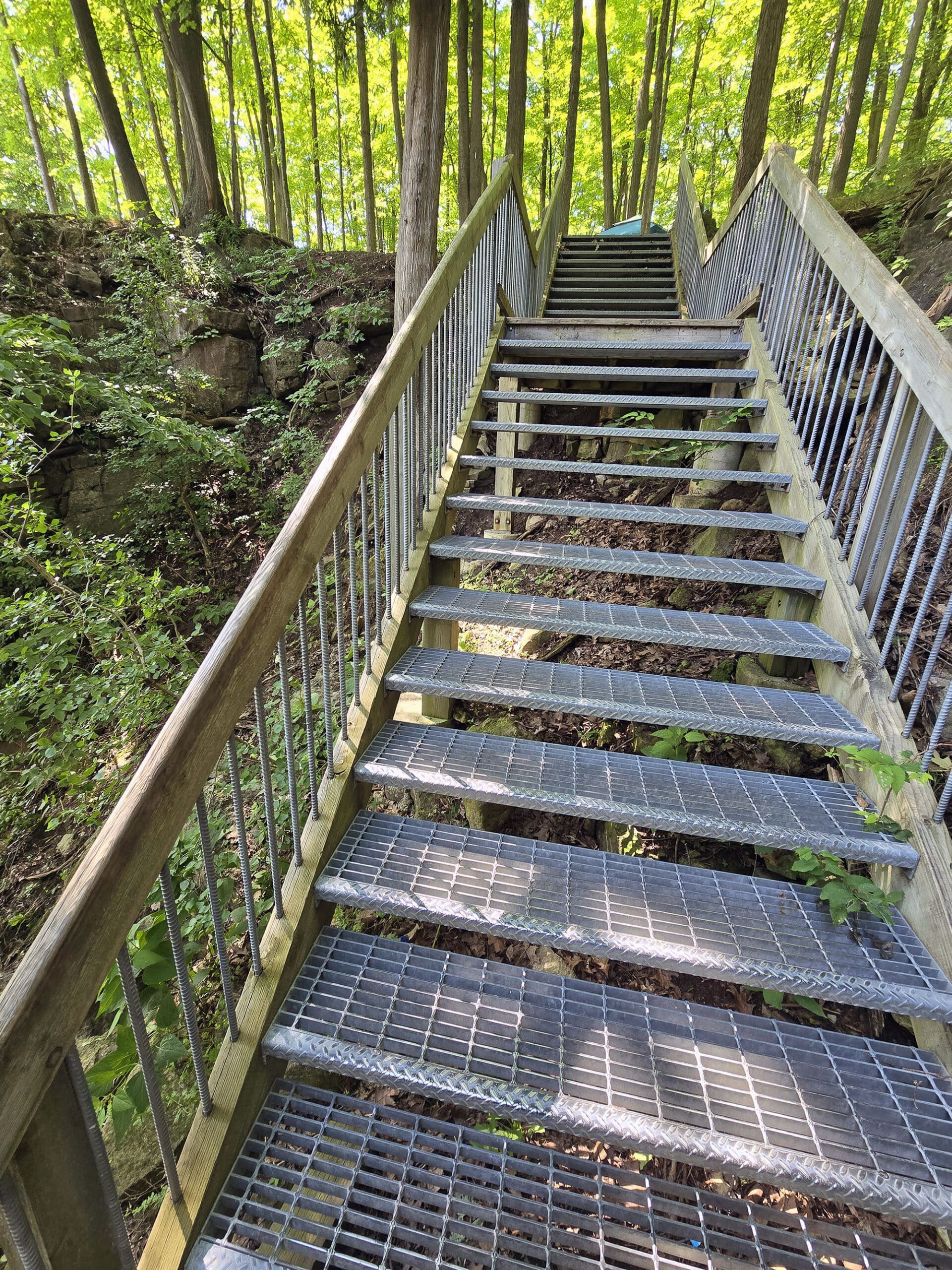 A tall staircase leading up the niagara escarpment at rattlesnake point conservation area.