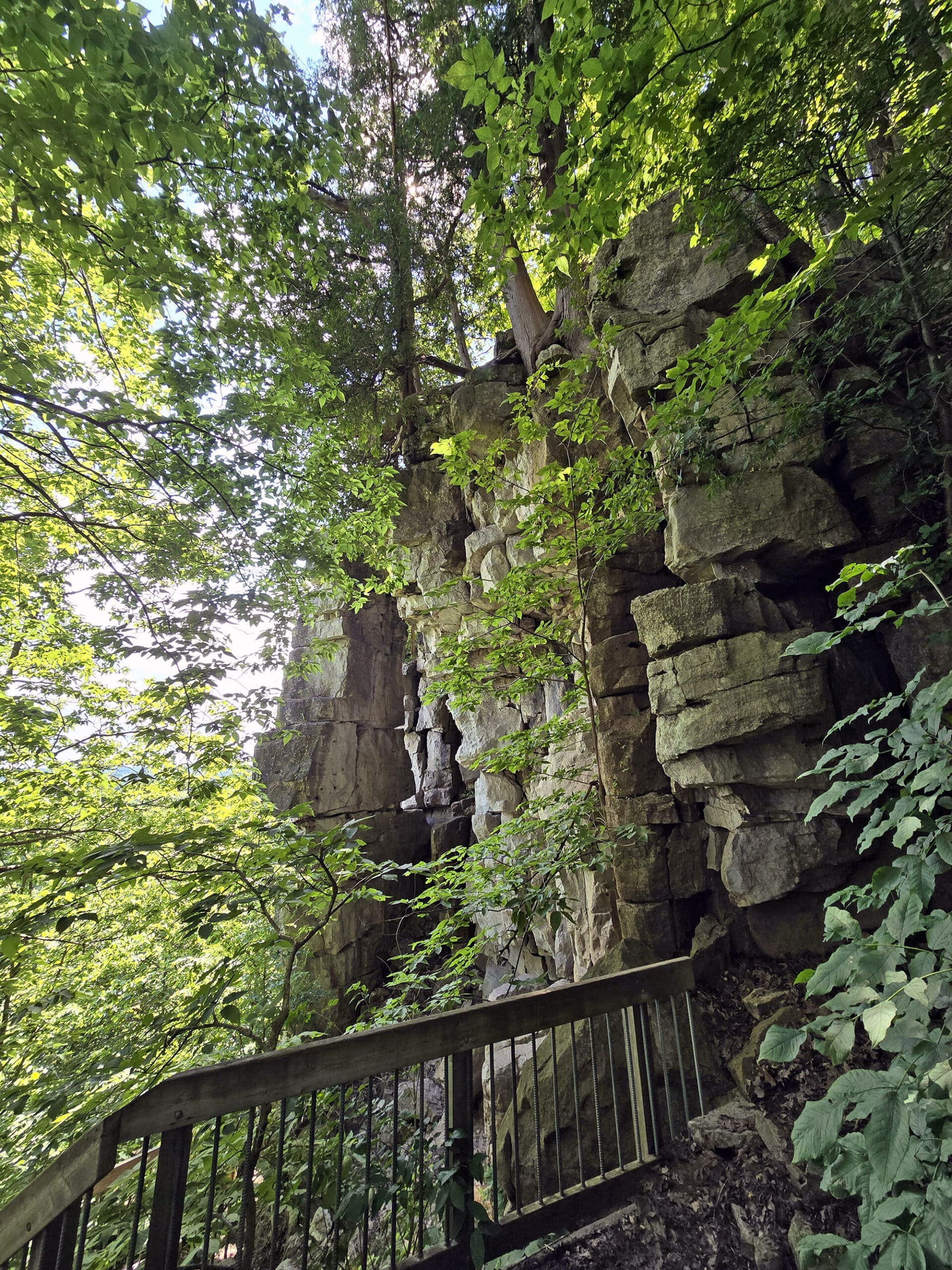 The side of the niagara escarpment, as viewed from a stairway and platform.