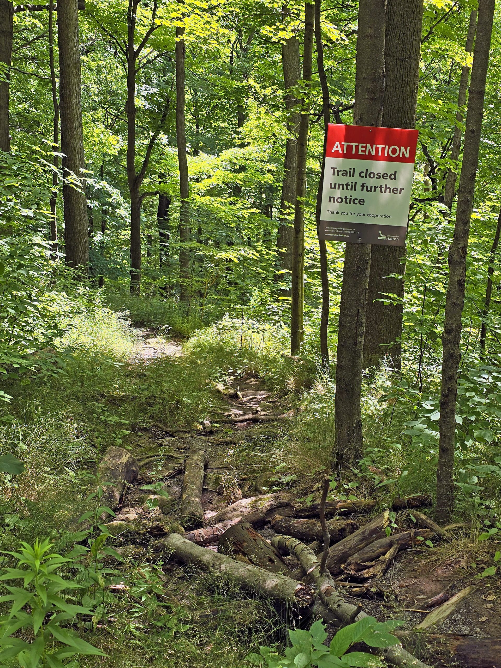 An obstructed entrance to the Bruce Side Trail, with signage saying that the trail is closed.