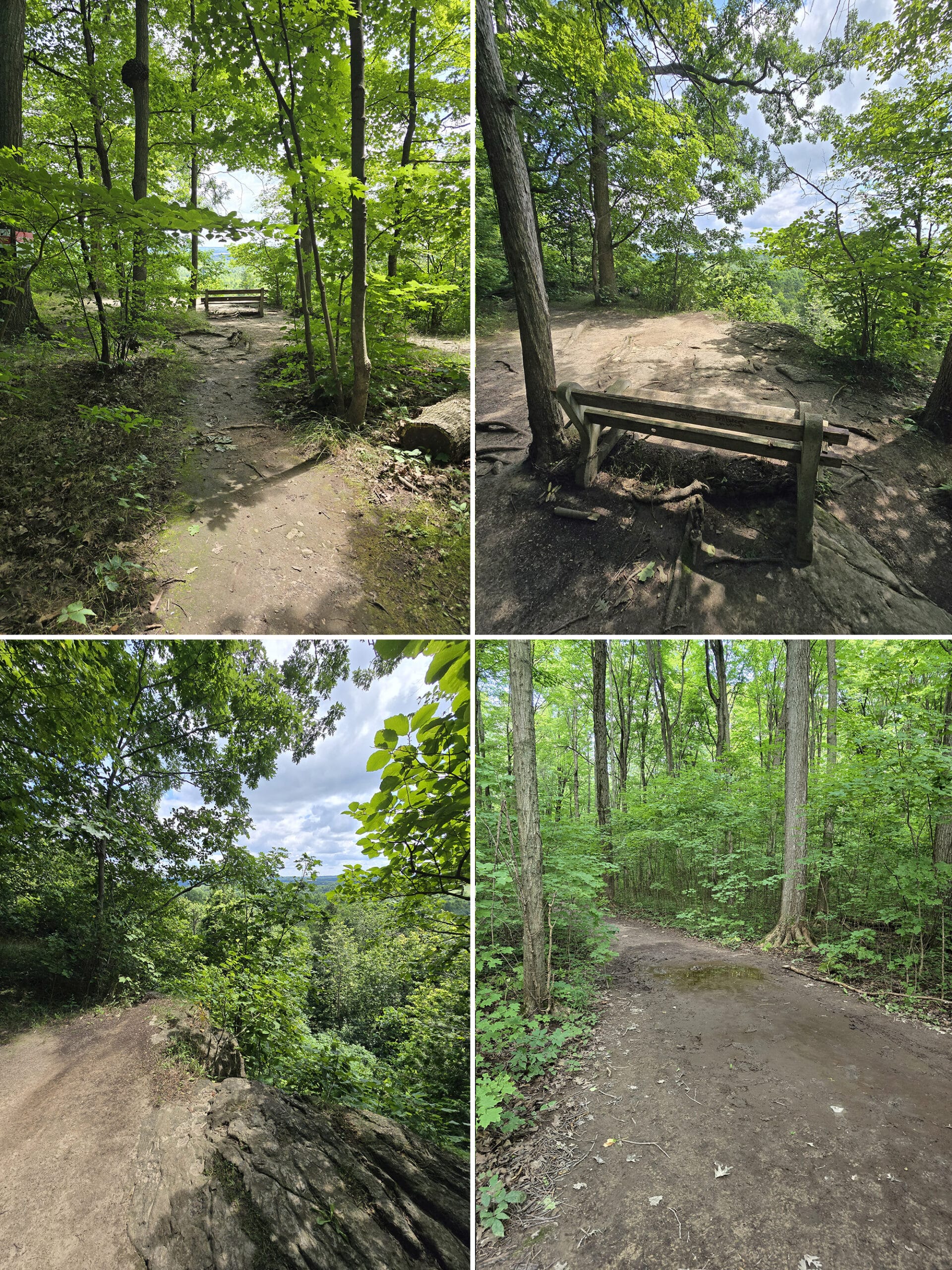 4 part image showing various views along the Buffalo Crag Trail at Rattlesnake Point Conservation Area.