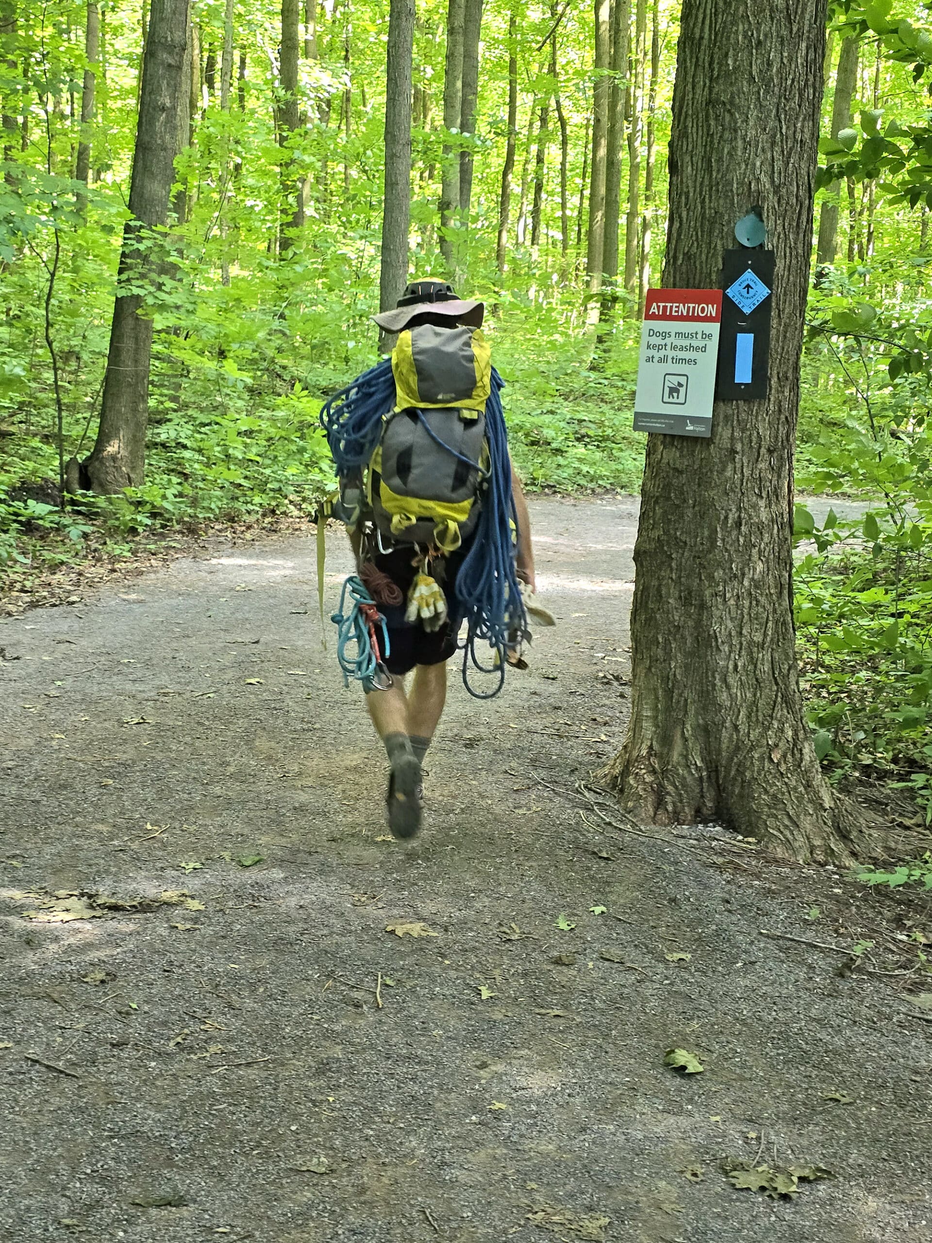 A rock climber with a backpack and gear, walking towards the cliffs at Rattlesnake Point.