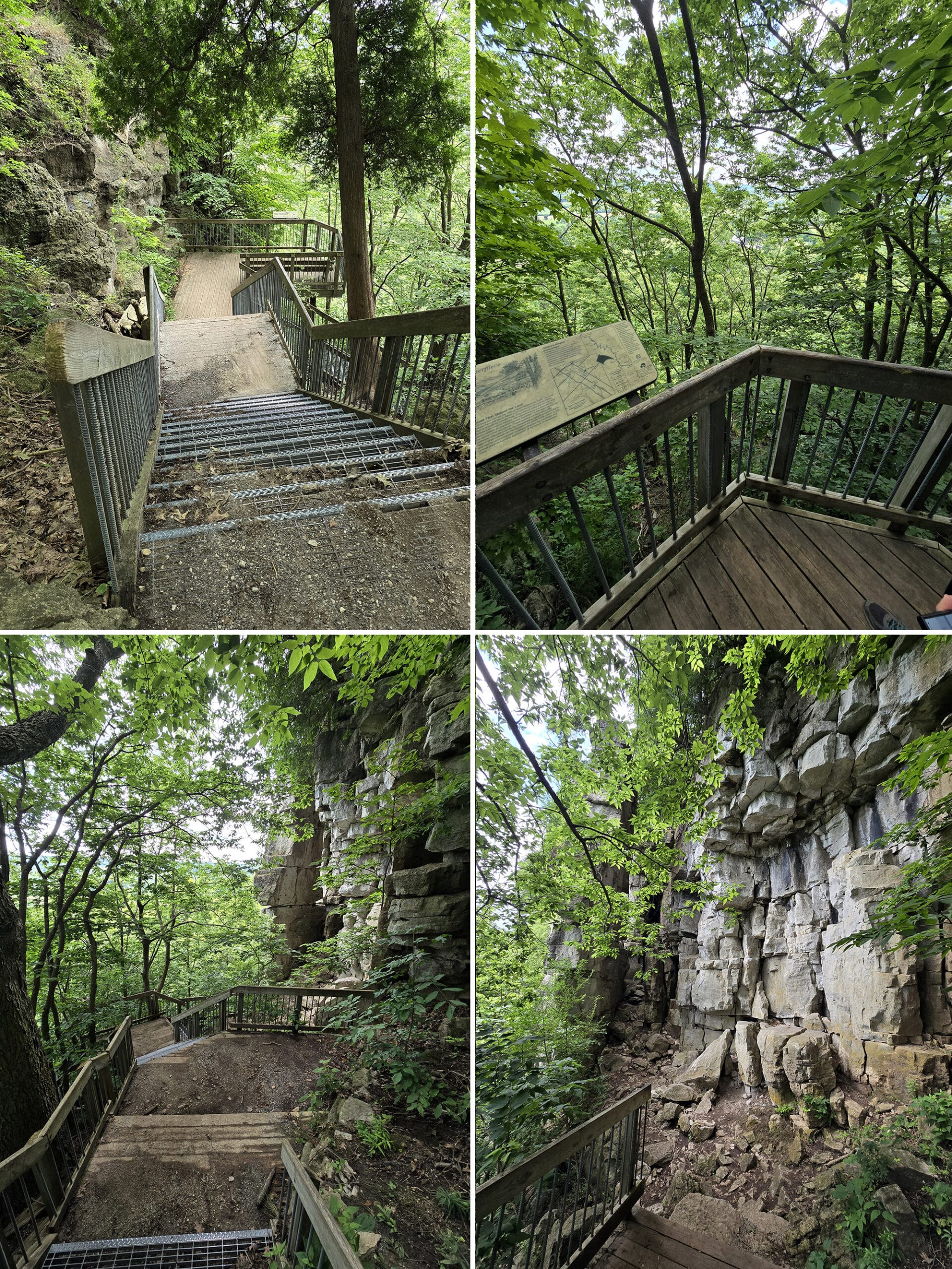 4 part image showing several views along the vista adventure trail at Rattlesnake Point Conservation Area.