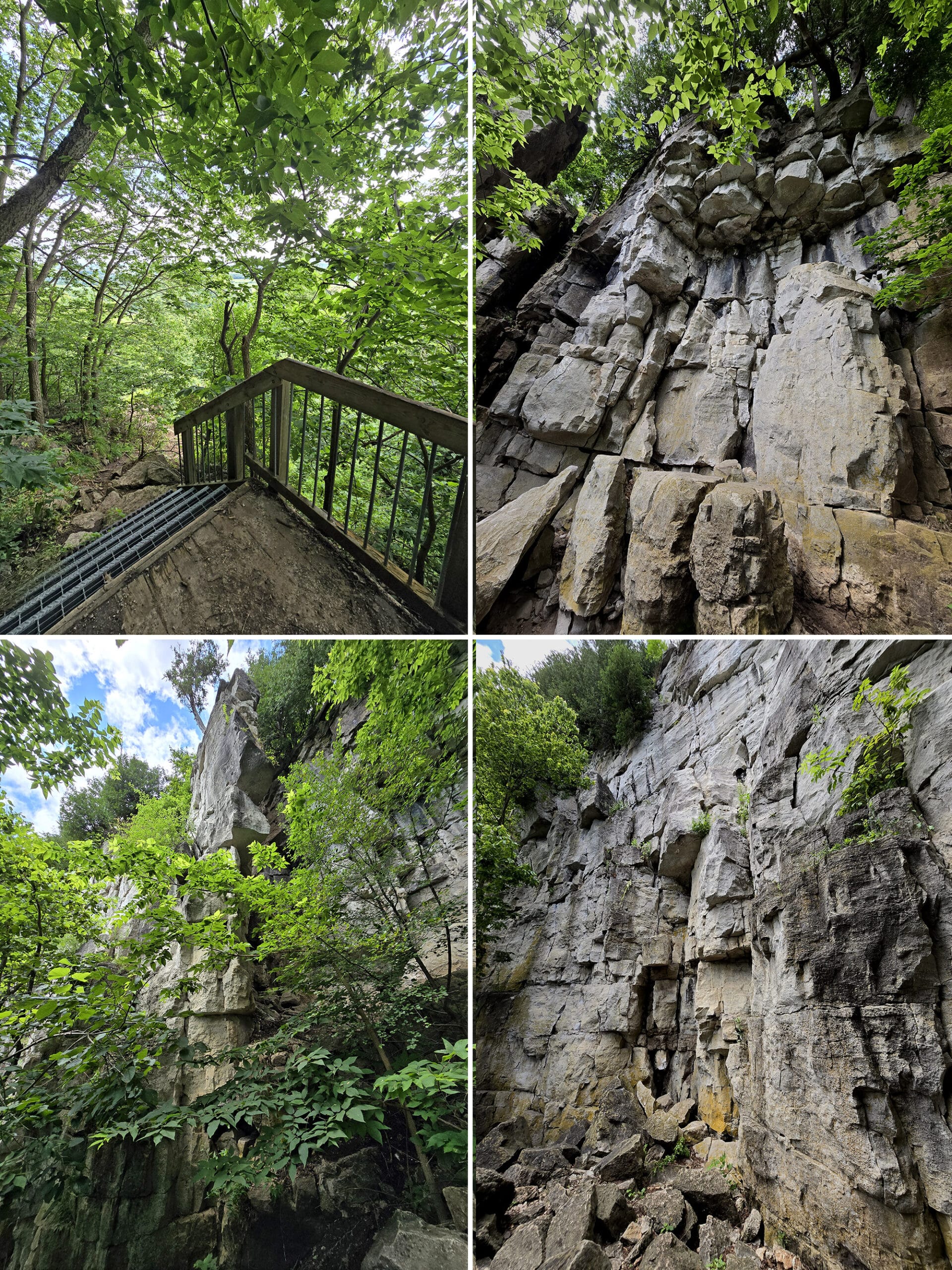 4 part image showing several views along the vista adventure trail at Rattlesnake Point Conservation Area.