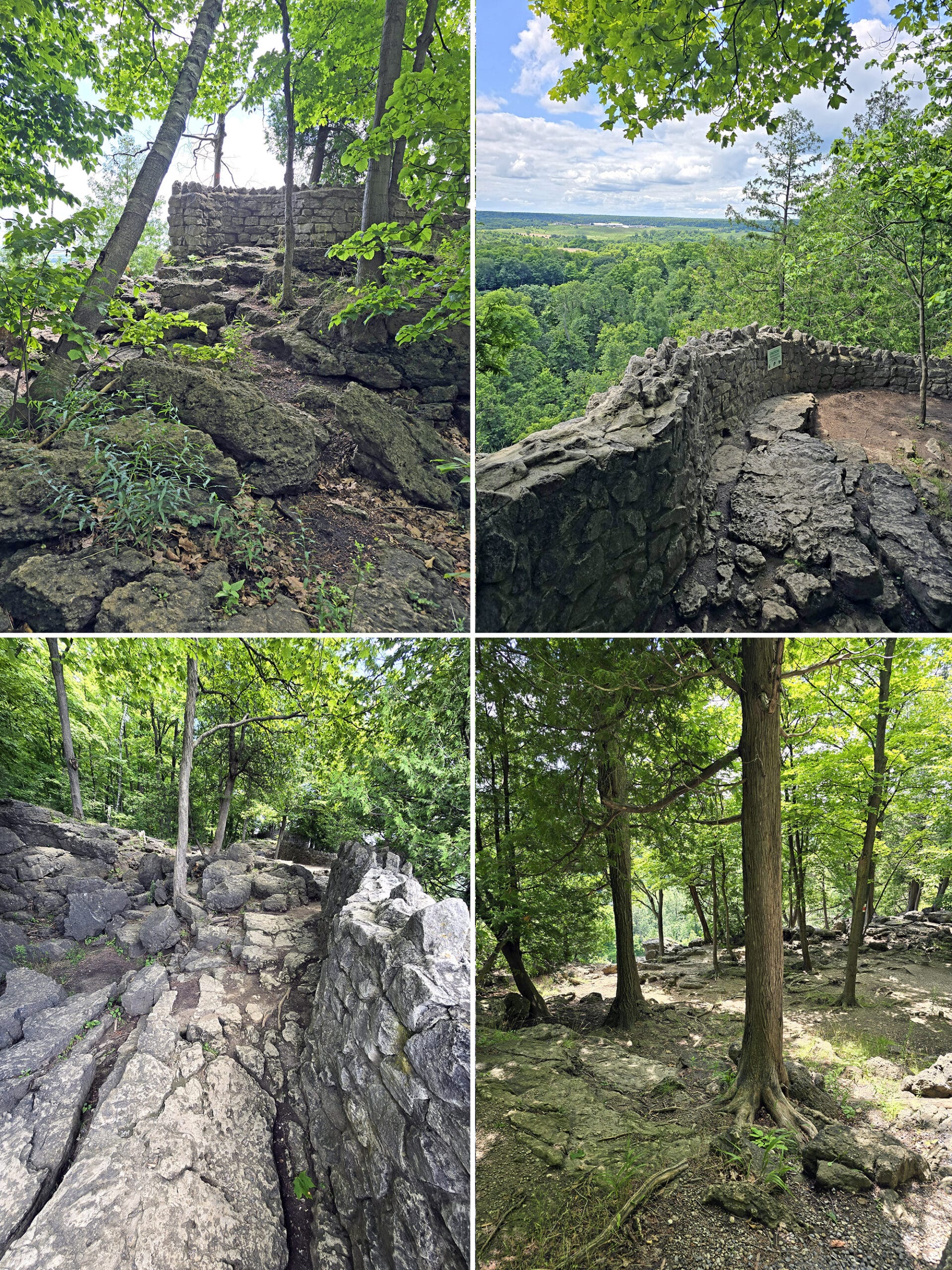 4 part image showing several views along the vista adventure trail at Rattlesnake Point Conservation Area.