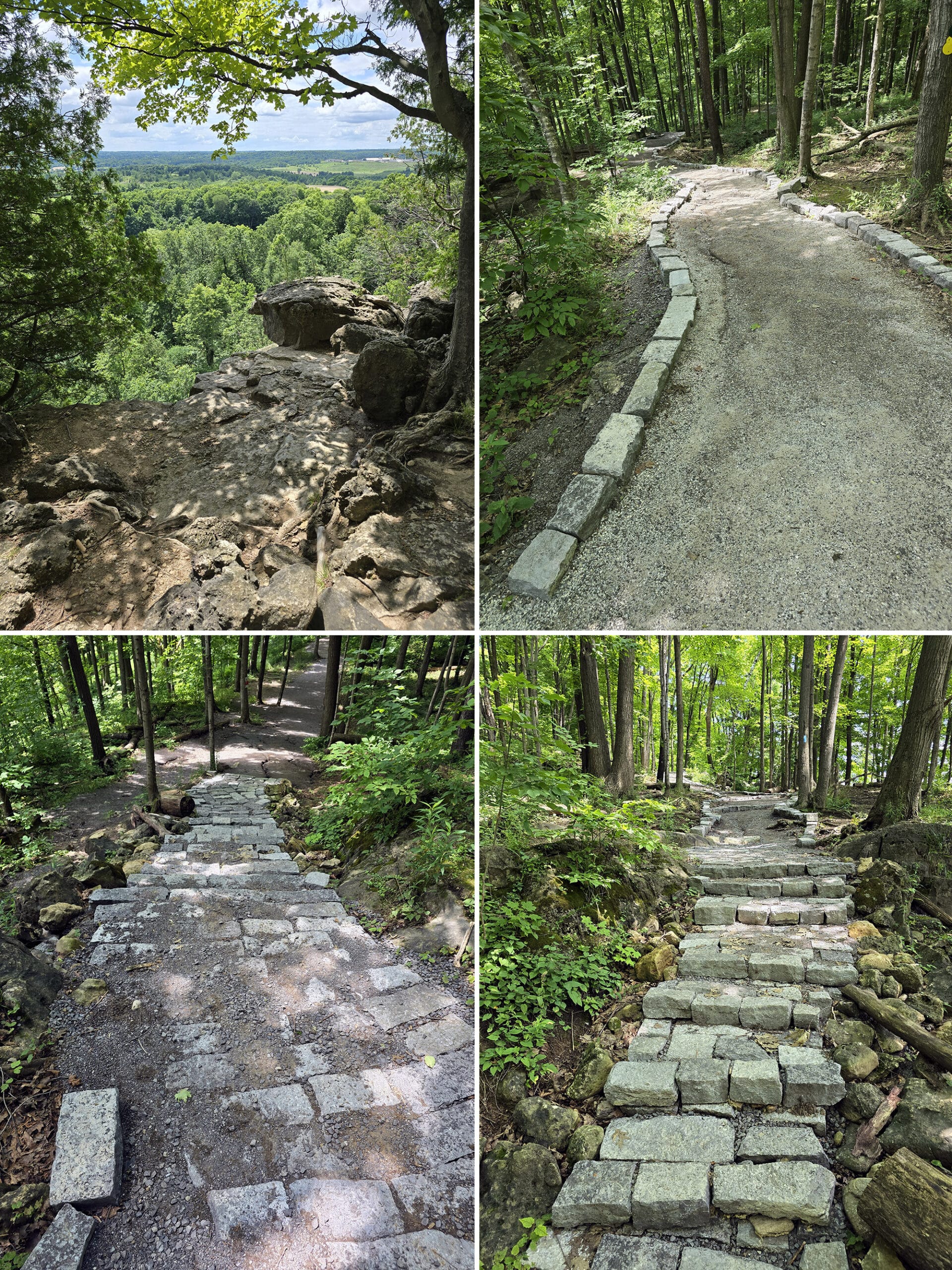 4 part image showing several views along the vista adventure trail at Rattlesnake Point Conservation Area.