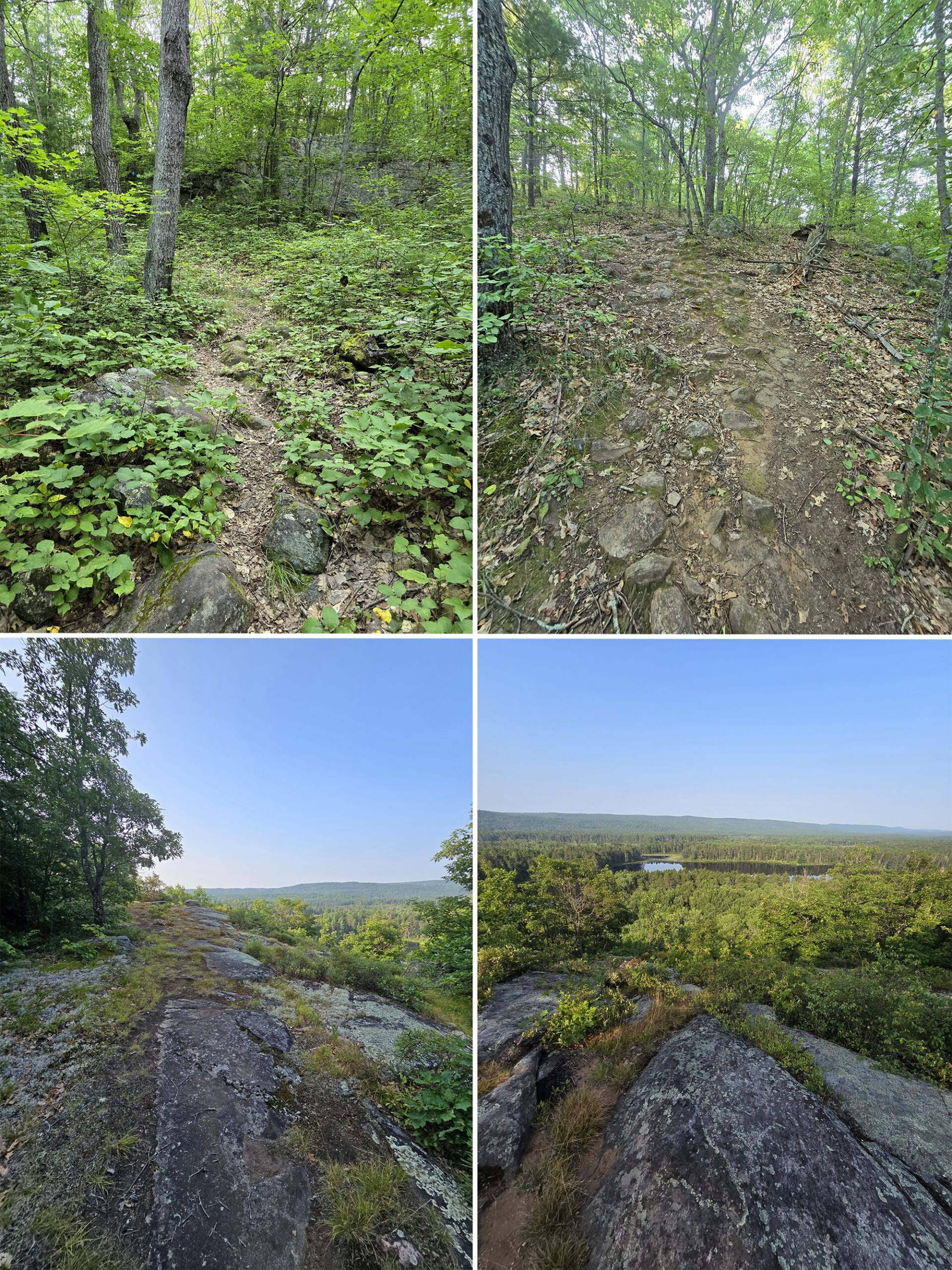 4 part image showing various views along the Whispering Winds Trail on the Walks of the Little Bonnechere River.