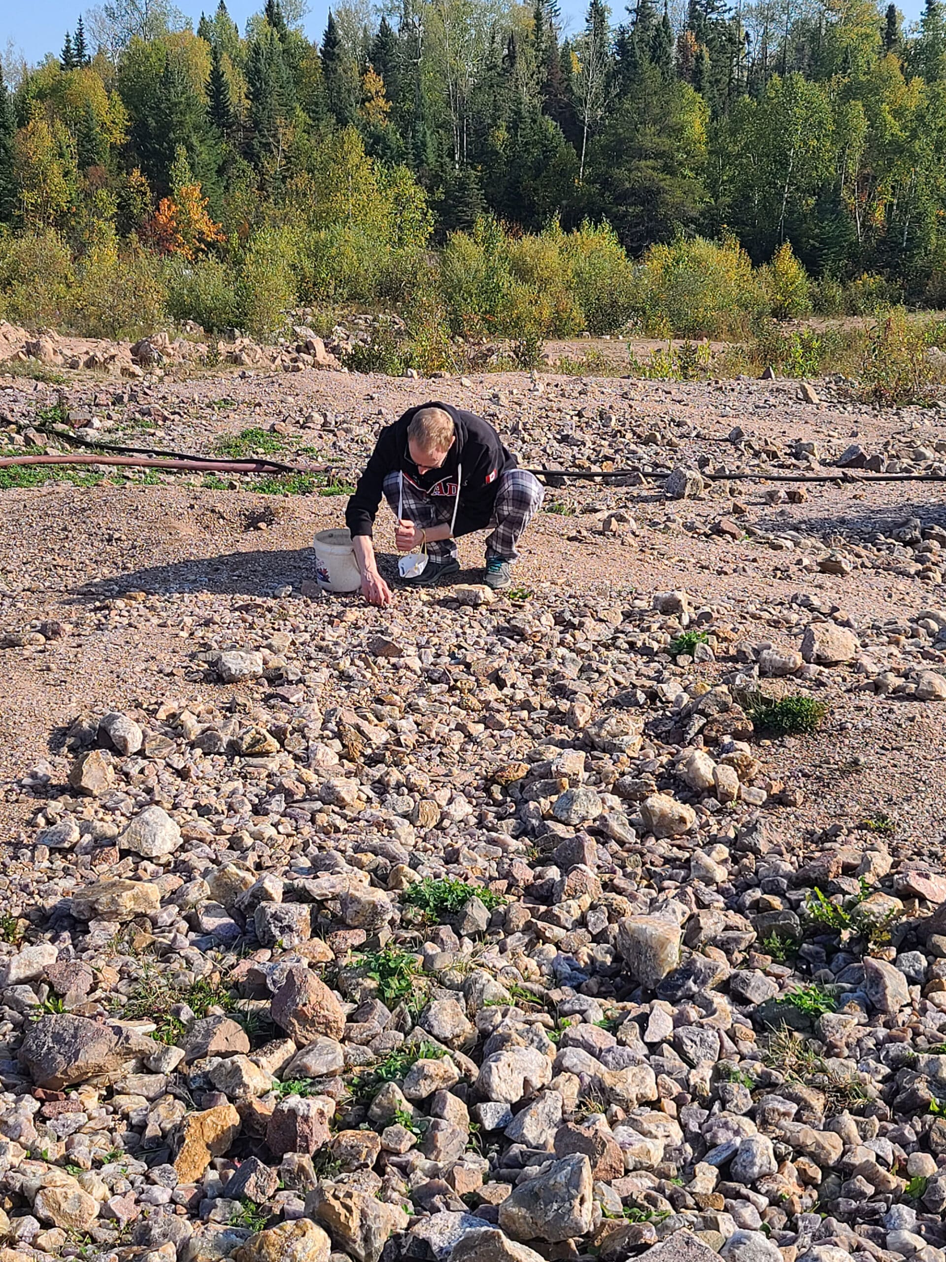 The author's husband kneeling in a field of amethysts, picking his own