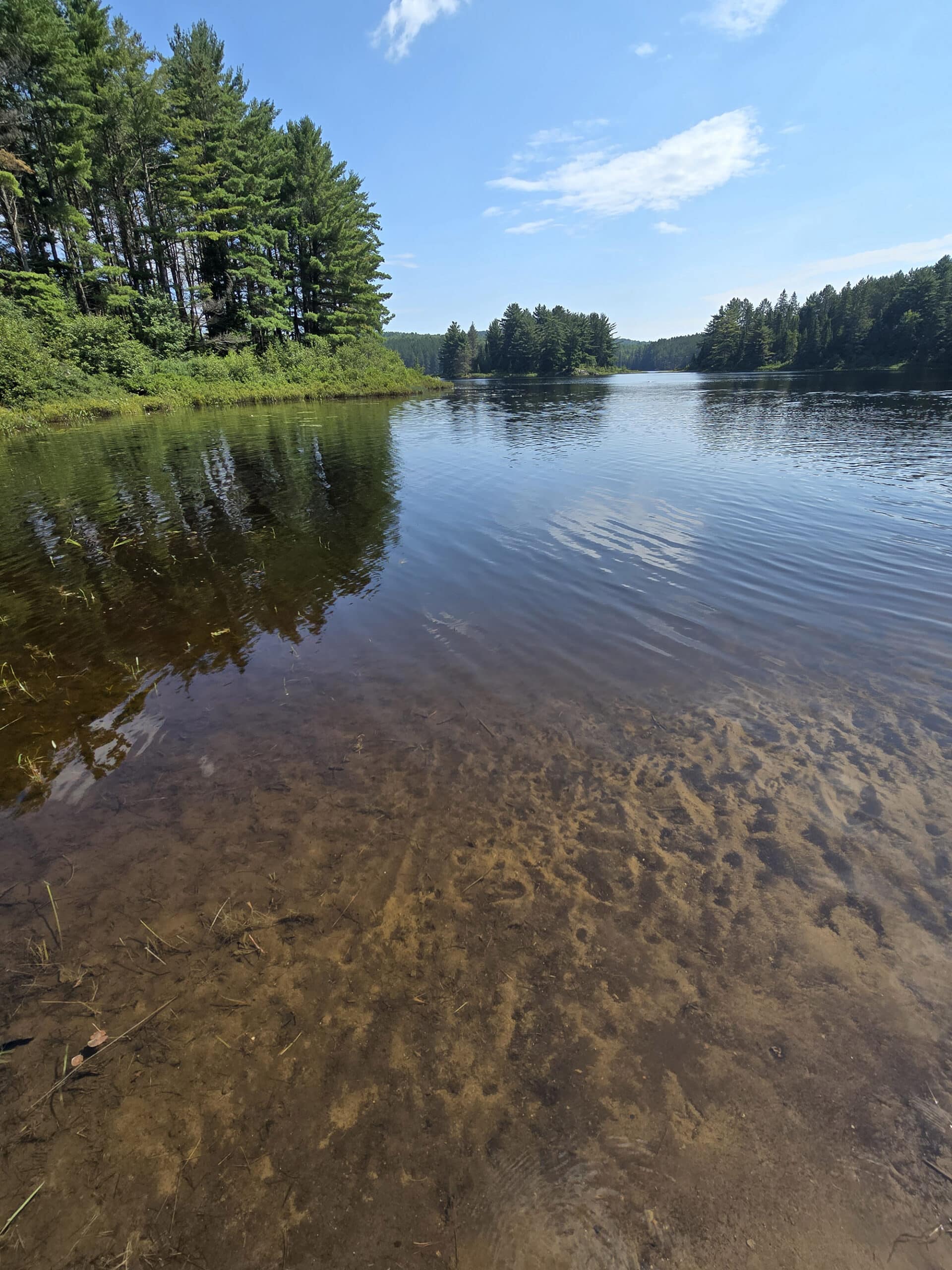 Kearney Lake