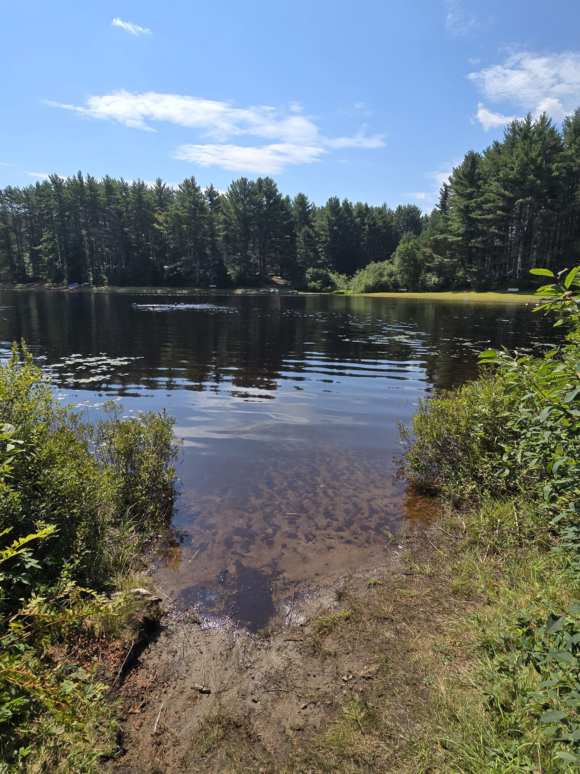 Kearney Lake with trees in the background.