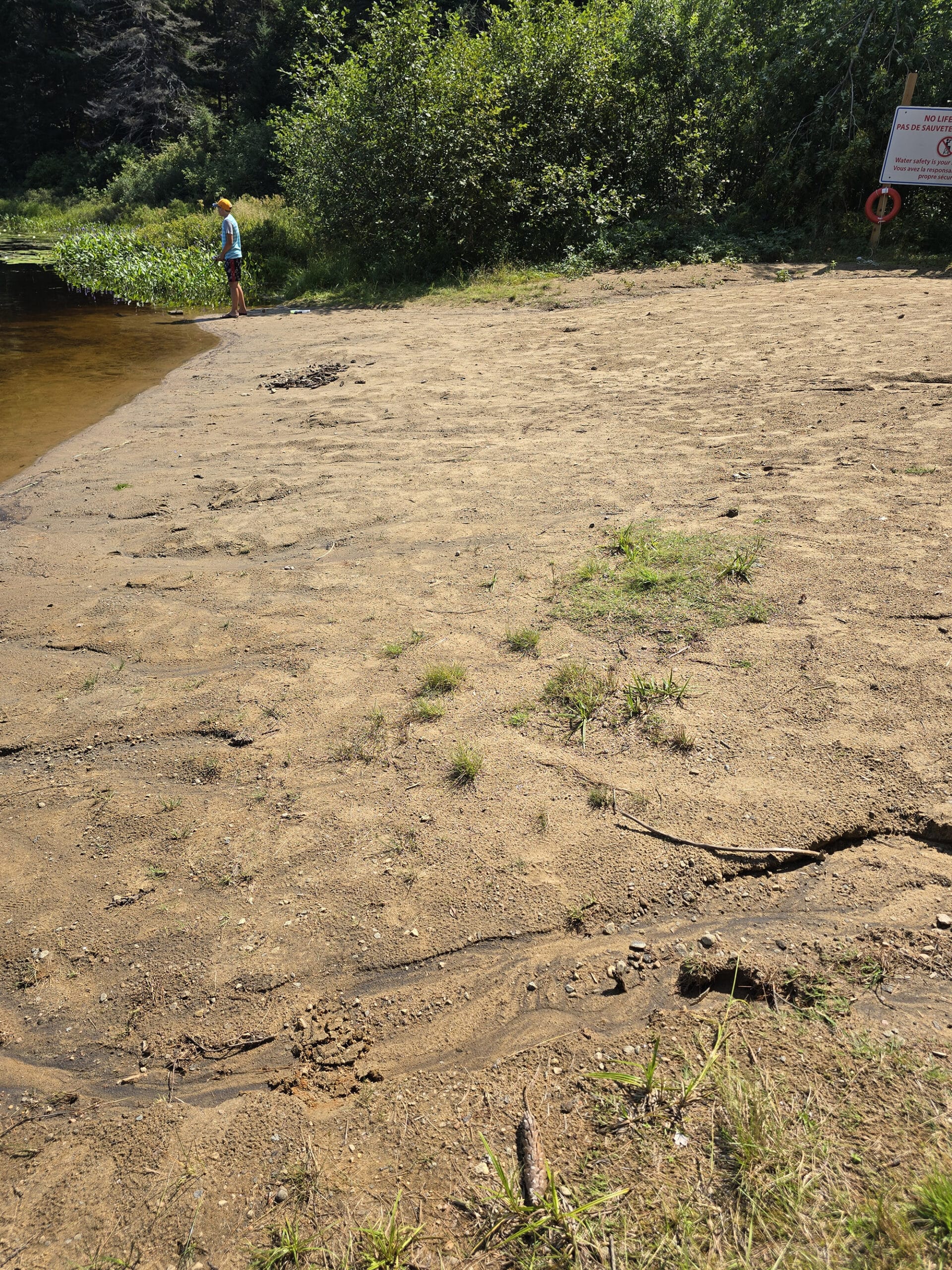 The sandy beach at Kearney Lake Campground.