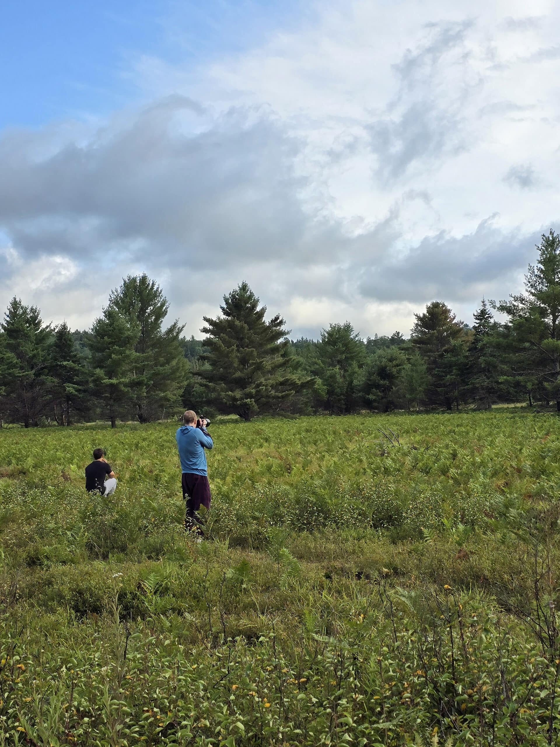 2 men in a field of blueberries, with large cameras.