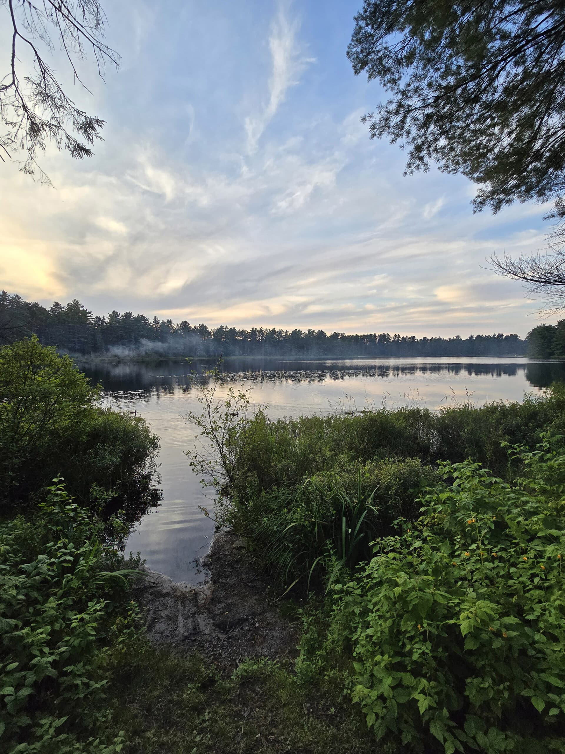 Mew Lake, viewed from a campsite.