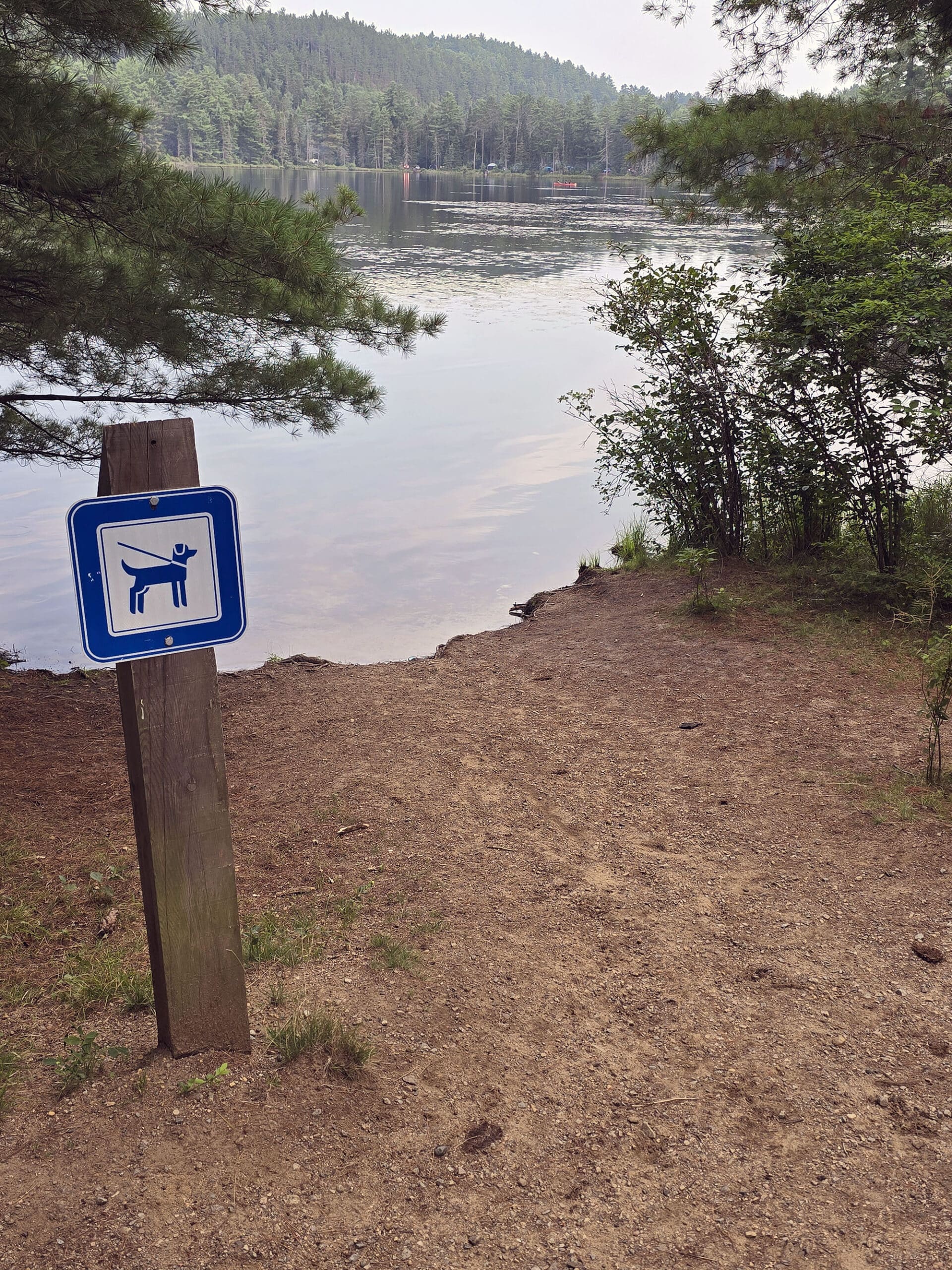 A very small beach with a dog sign in the foreground.