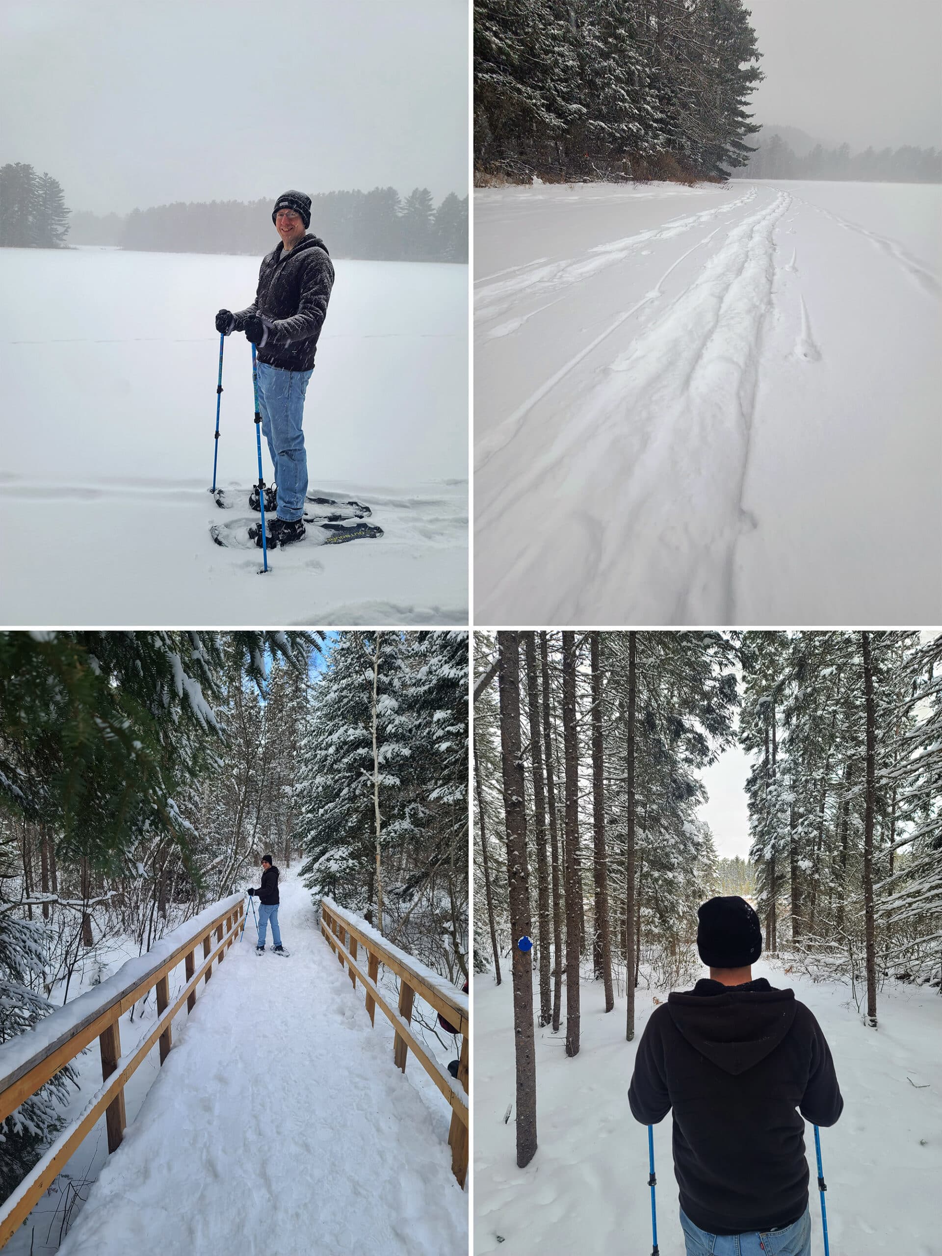 4 part image showing a middle aged white guy snowshoeing in algonquin provincial park.