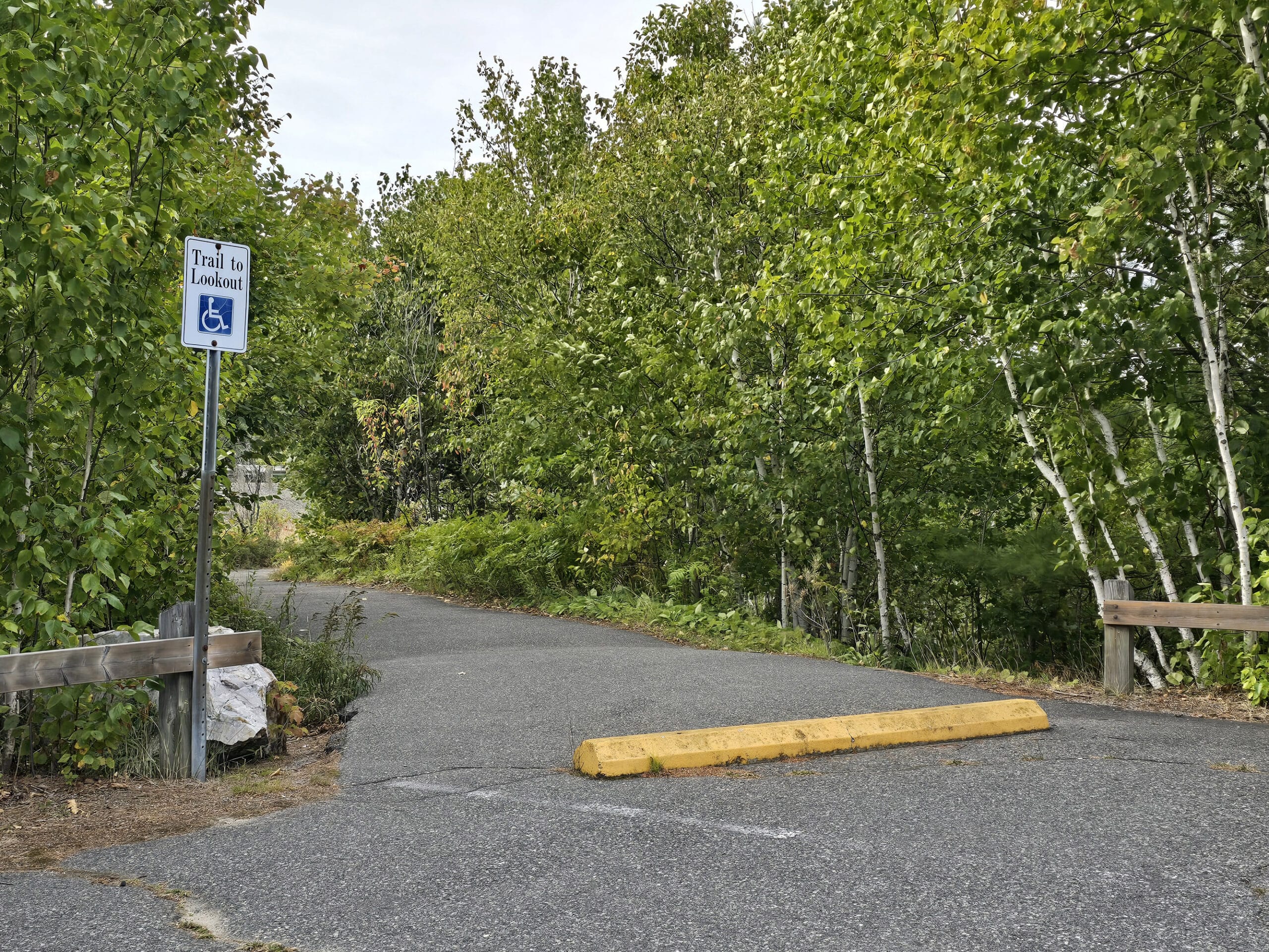 The entrance to the accessible trail, with a yellow curb in front.