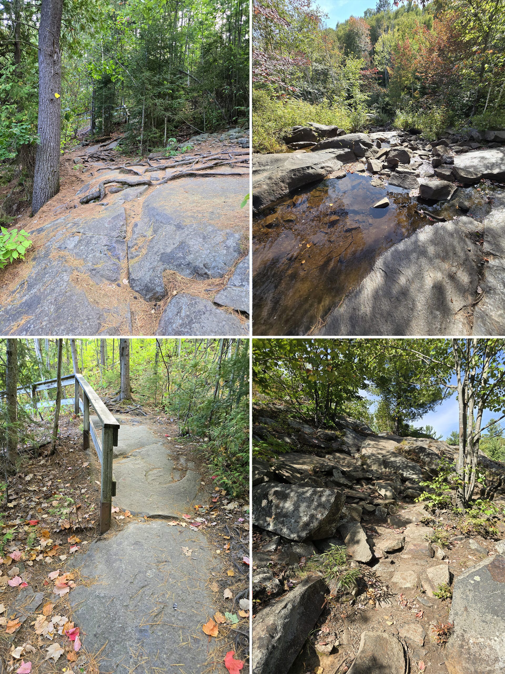 4 part image showing various views along the Onaping Falls Riverside Trail.