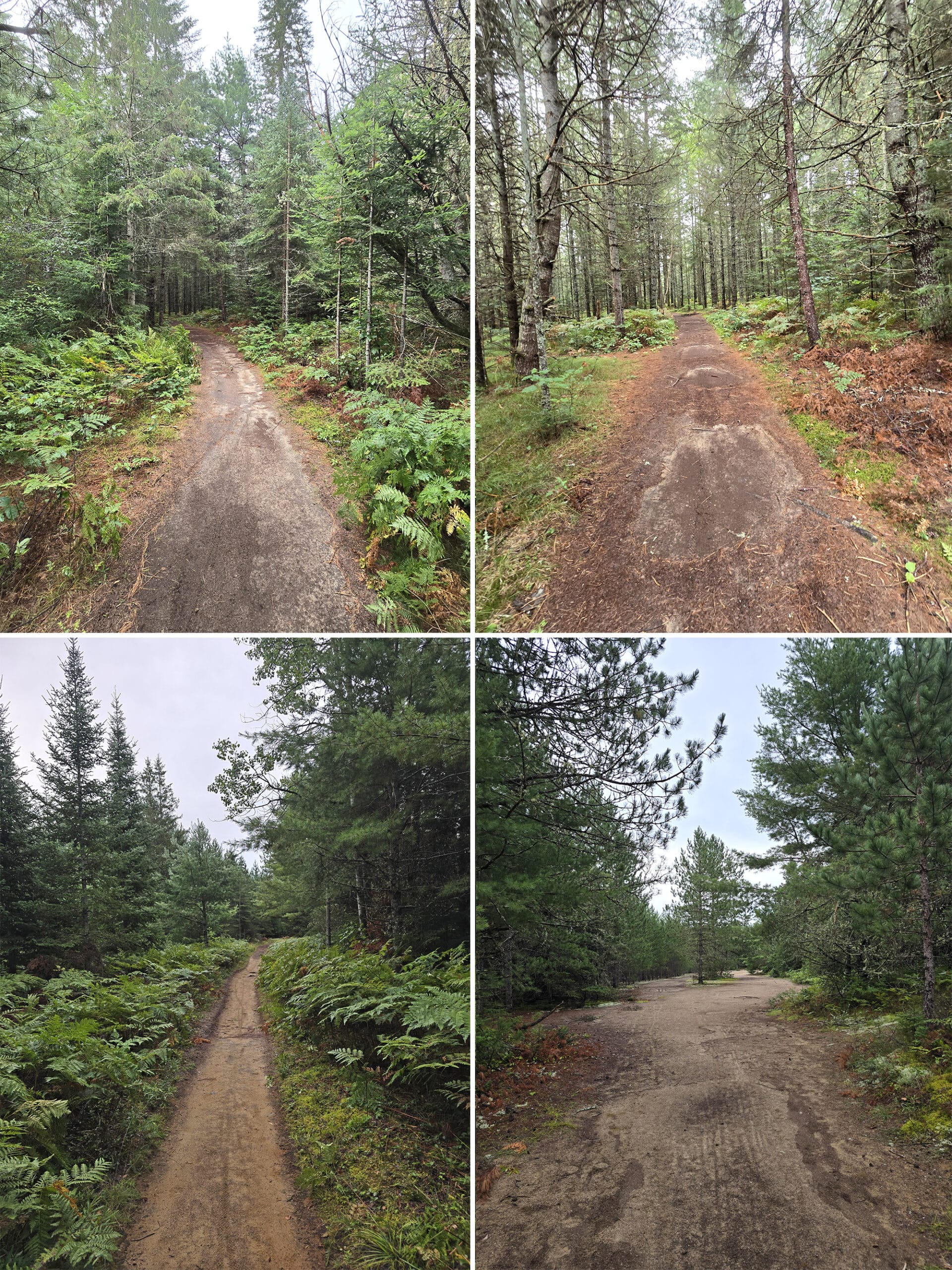 4 part image showing various views along the trail to the falls.