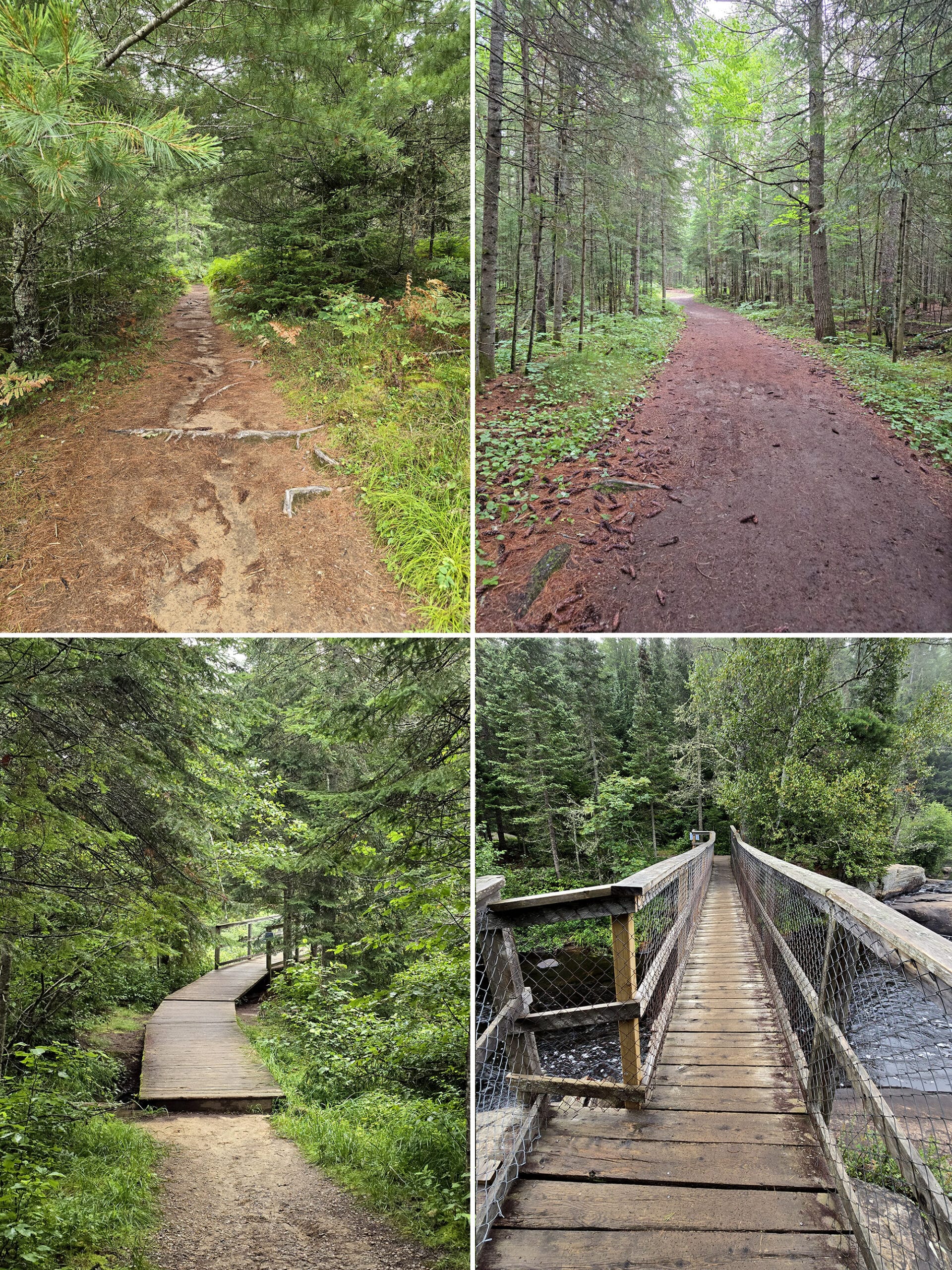 4 part image showing various views along the trail to the falls.