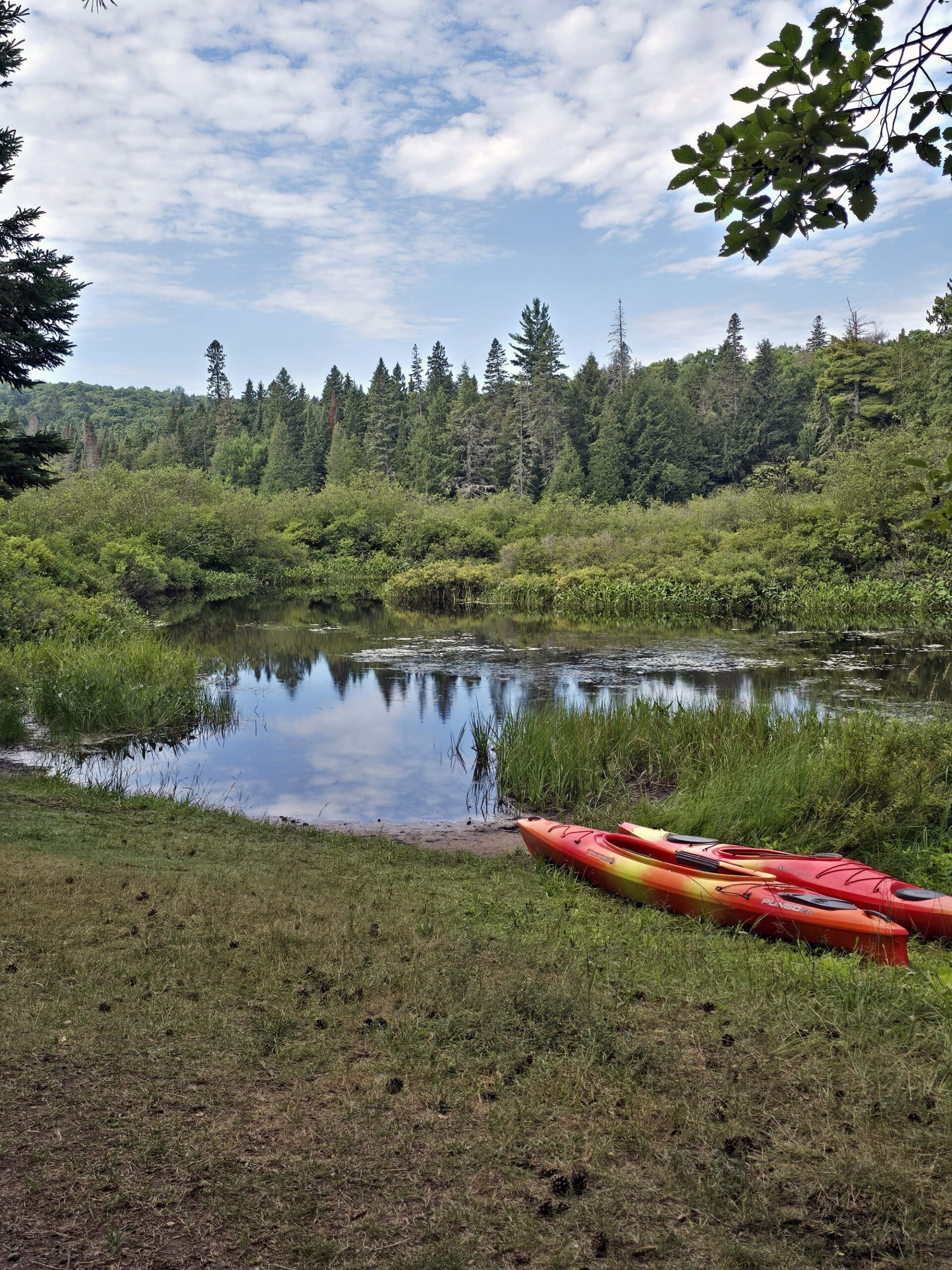 2 red kayaks on the side of a marshy area in Rock Lake Campground.