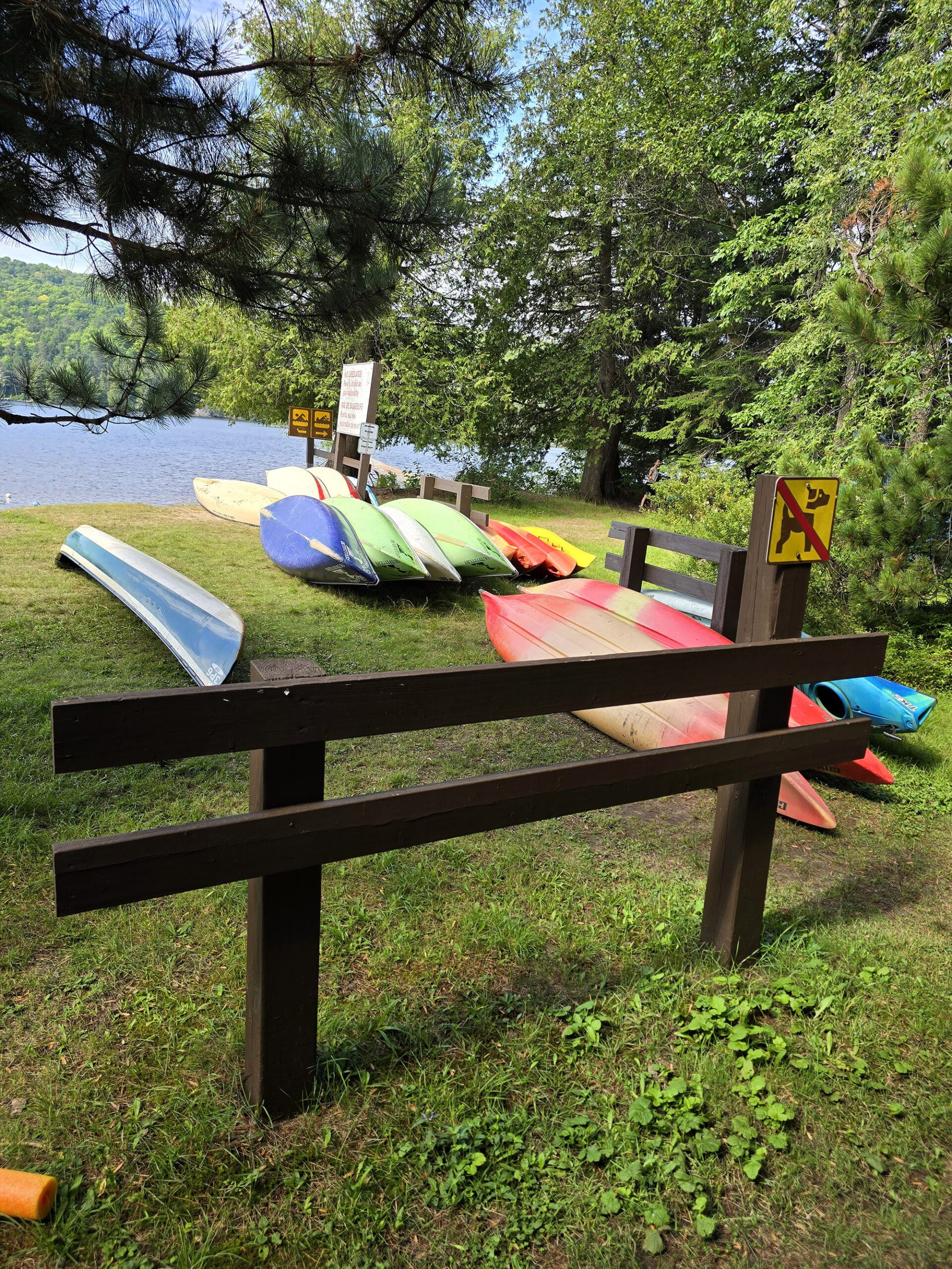 Several rows of colourful canoes and kayaks on the shore of rock lake.