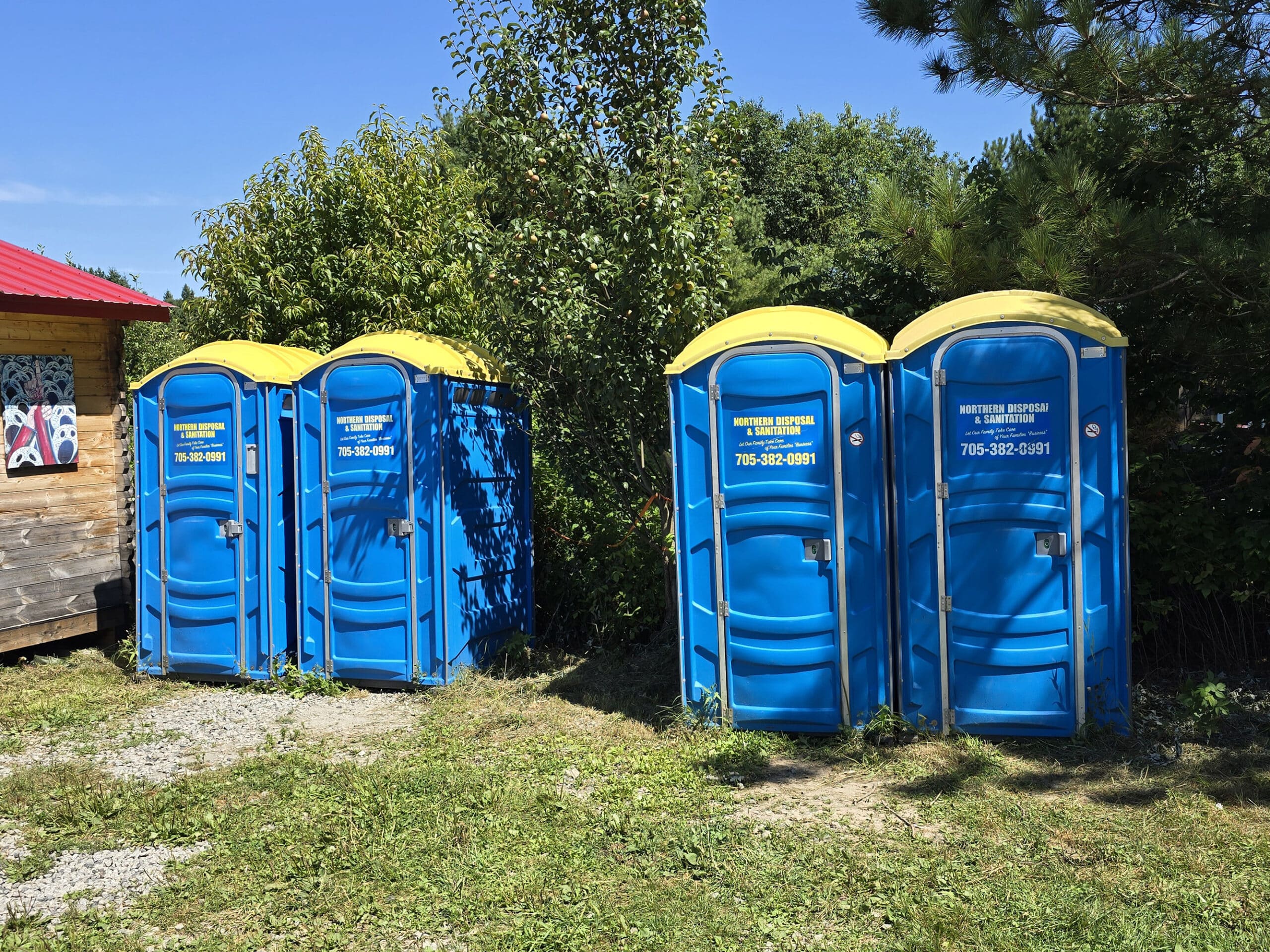 Several blue and yellow portapotties in a row.