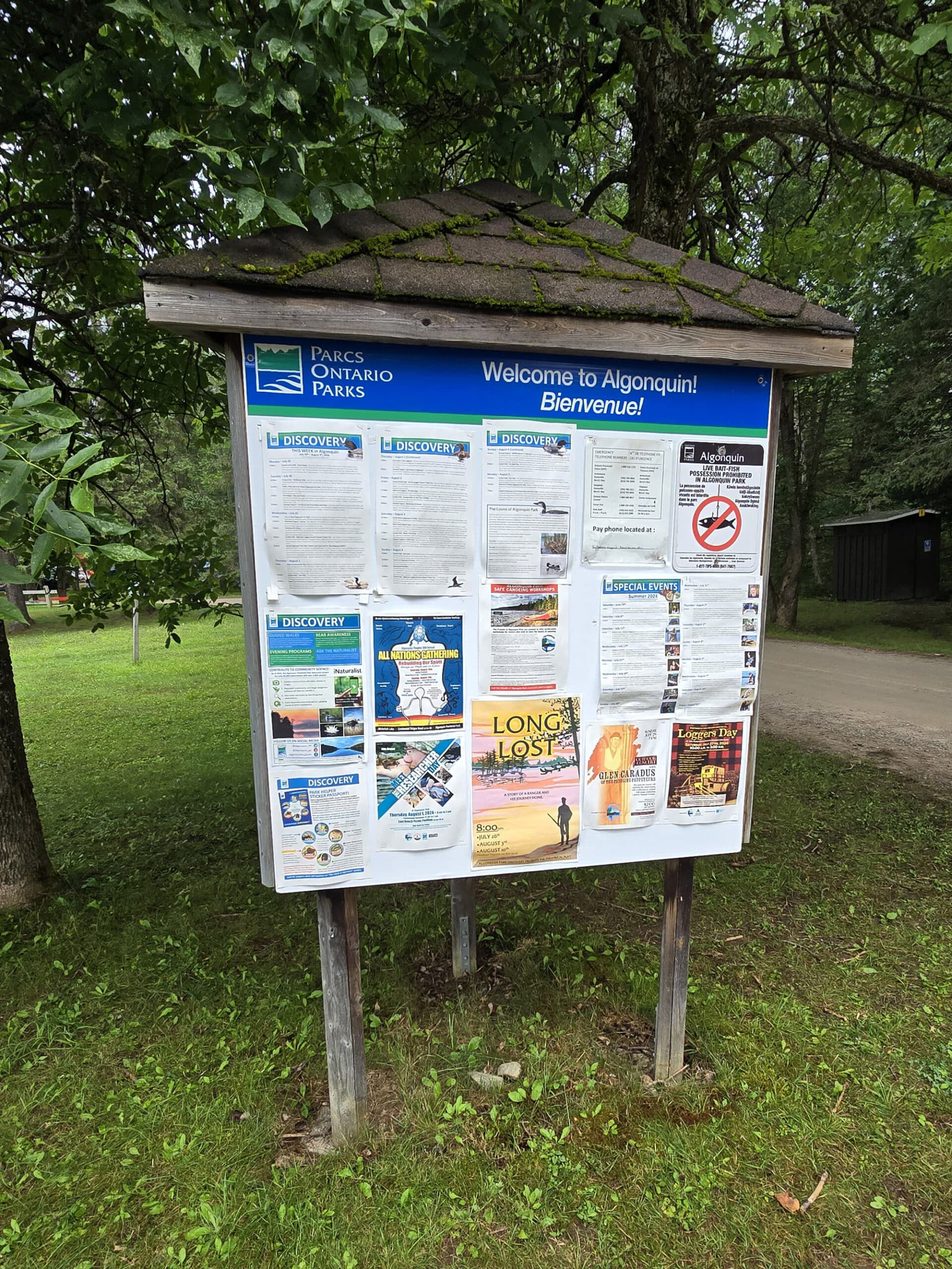 The information board at Whitefish Lake campground.