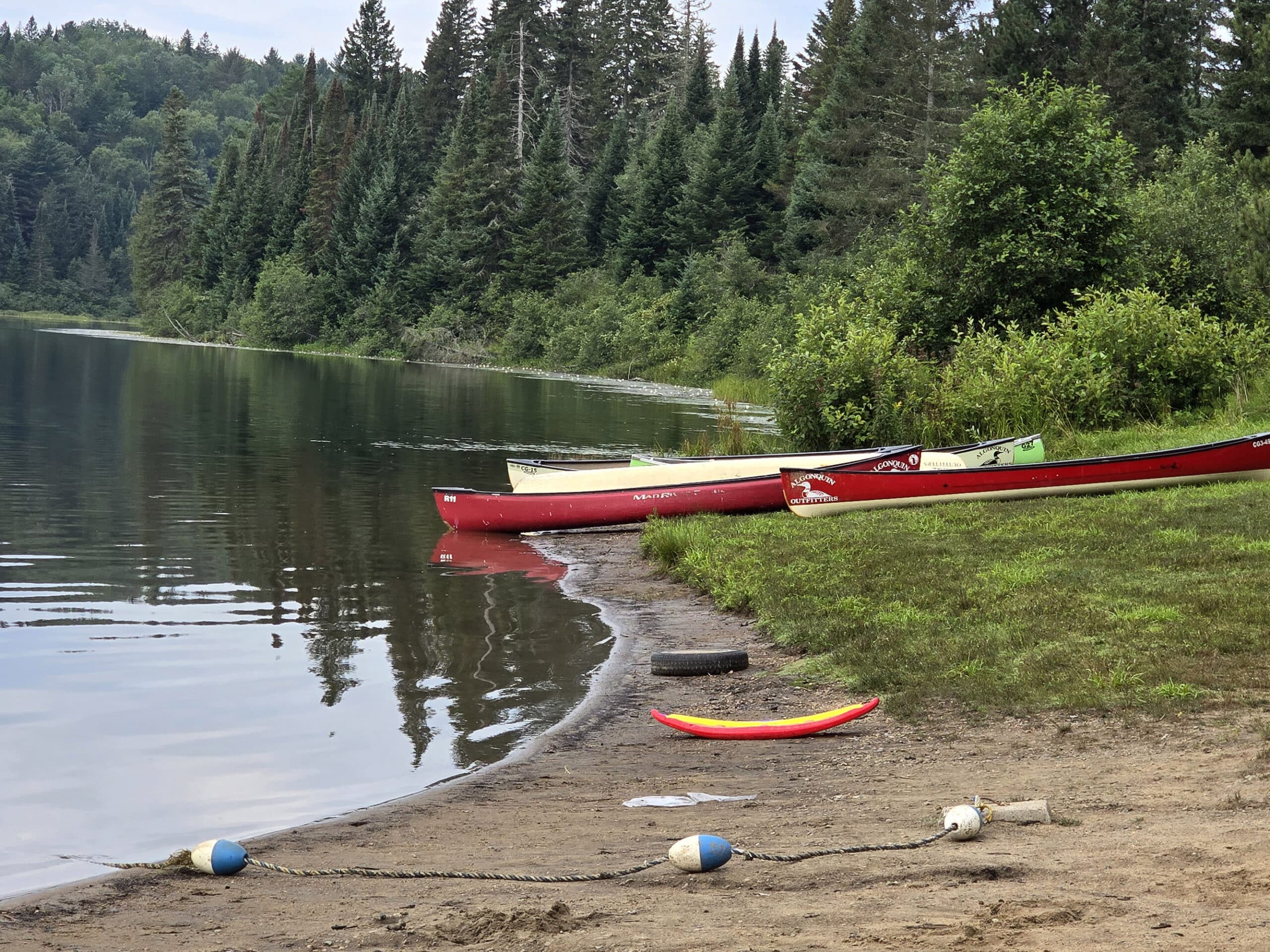 Several canoes on the shore of whitefish lake.