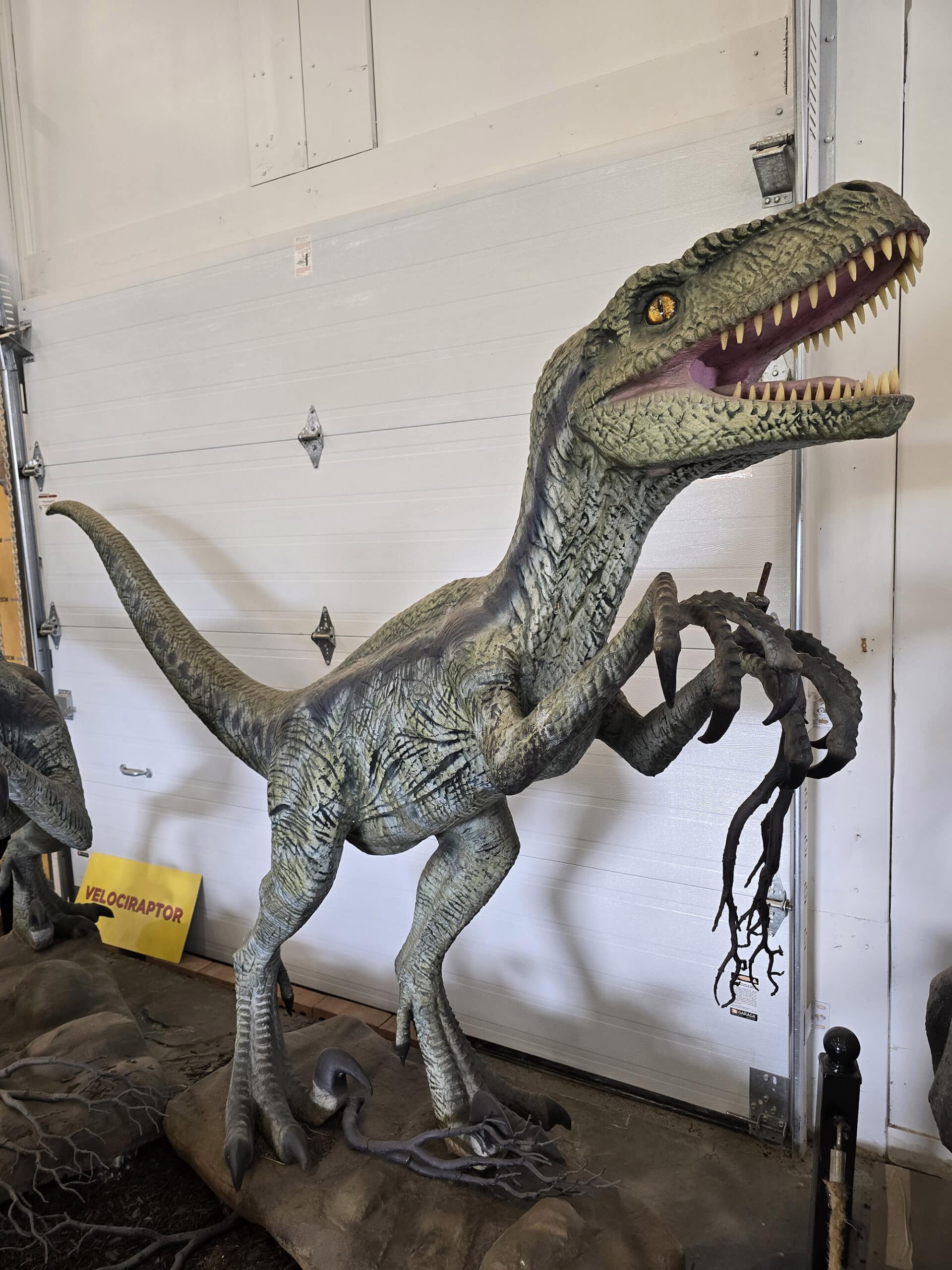 A life sized velociraptor painted to look like blue from Jurassic world.