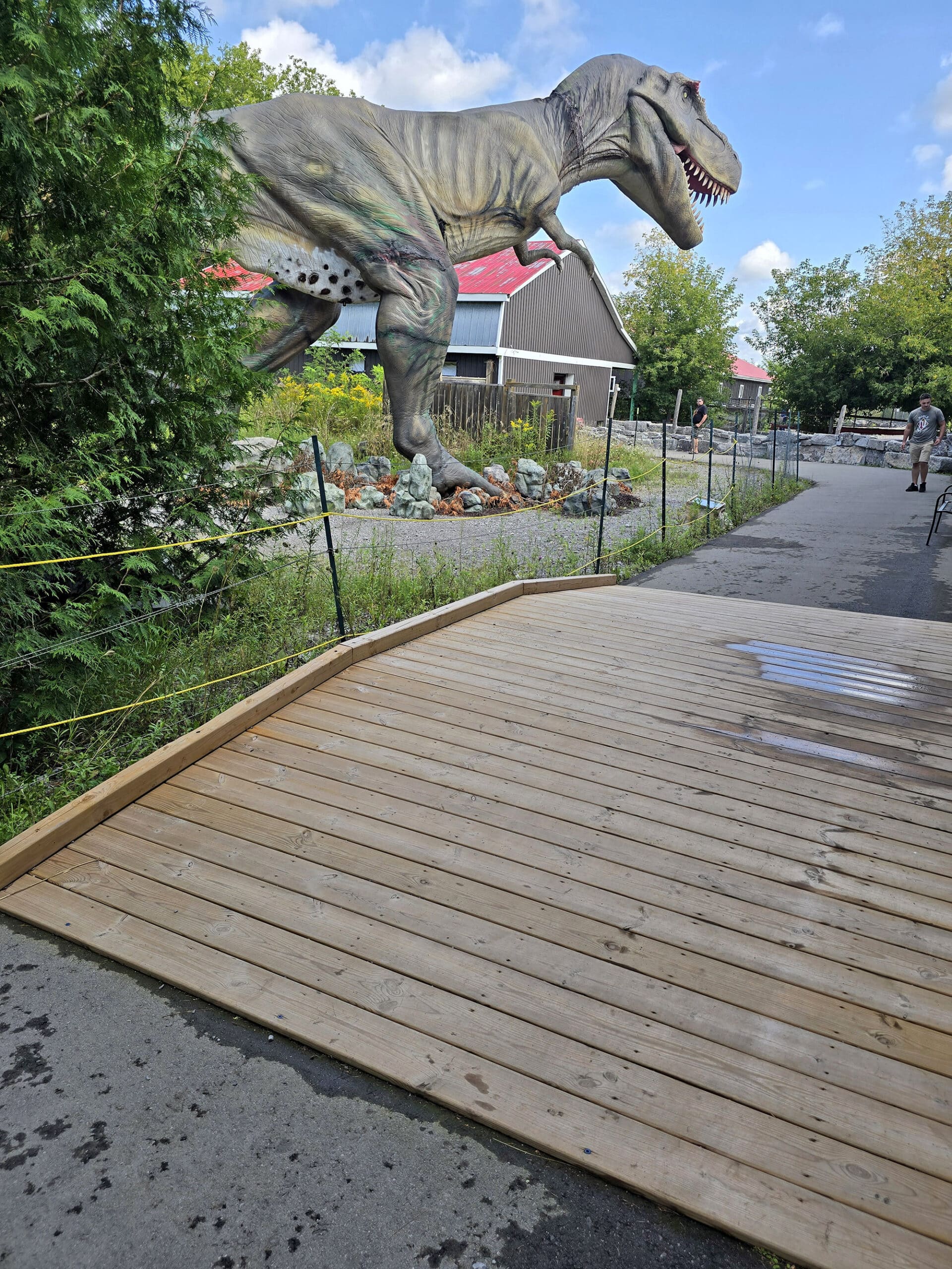 An accessibility ramp in front of a life sized tyrannosaurus rex.