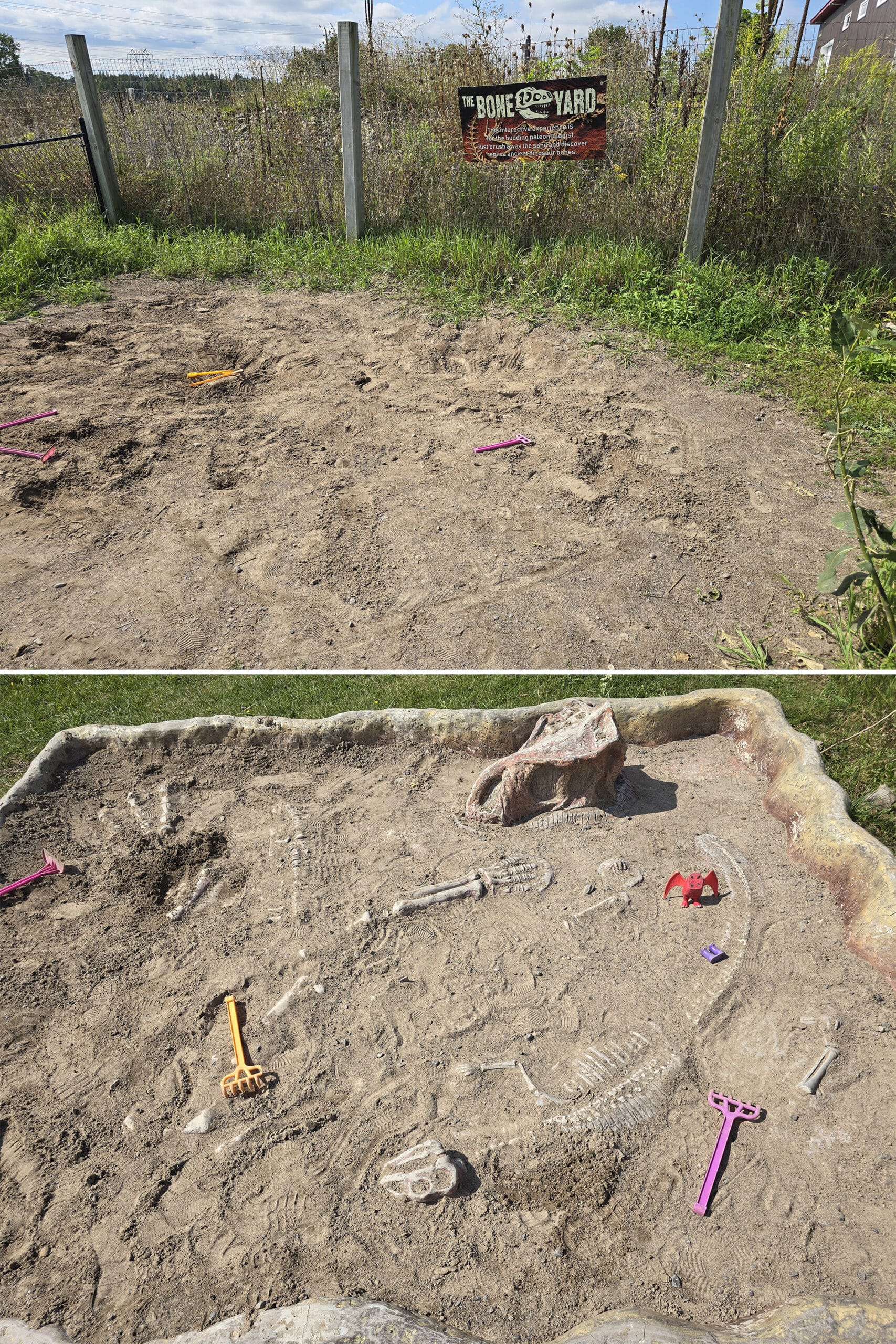 2 part image showing a sand pit and fossils at Canada’s Dinosaur Park