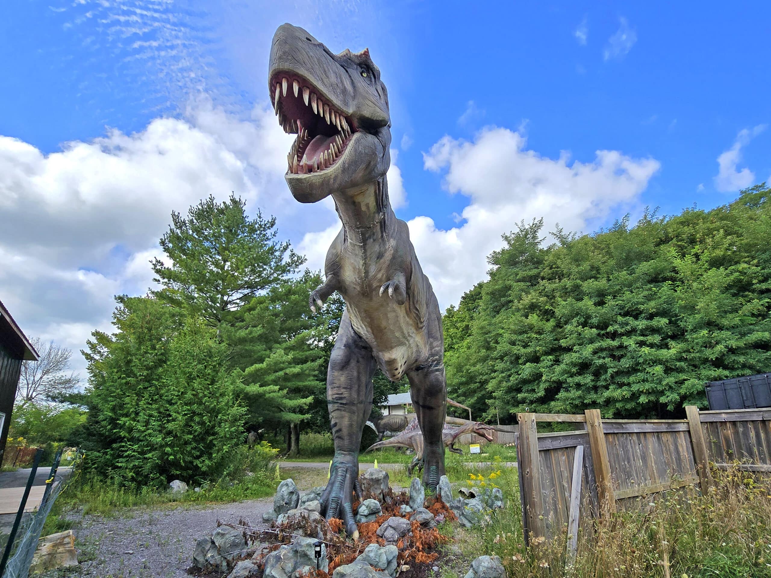 An outdoor life sized t rex.