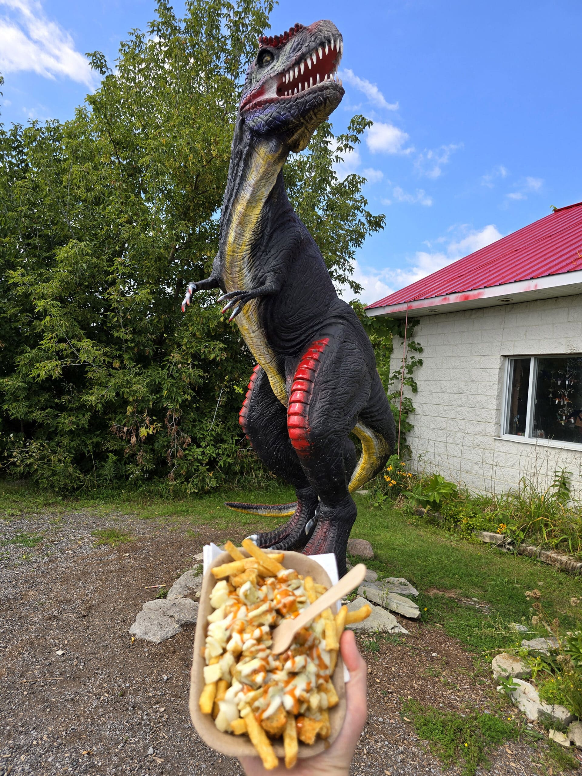 A hand holds a serving of deep fried pickle poutine up in front of a life sized dinosaur.