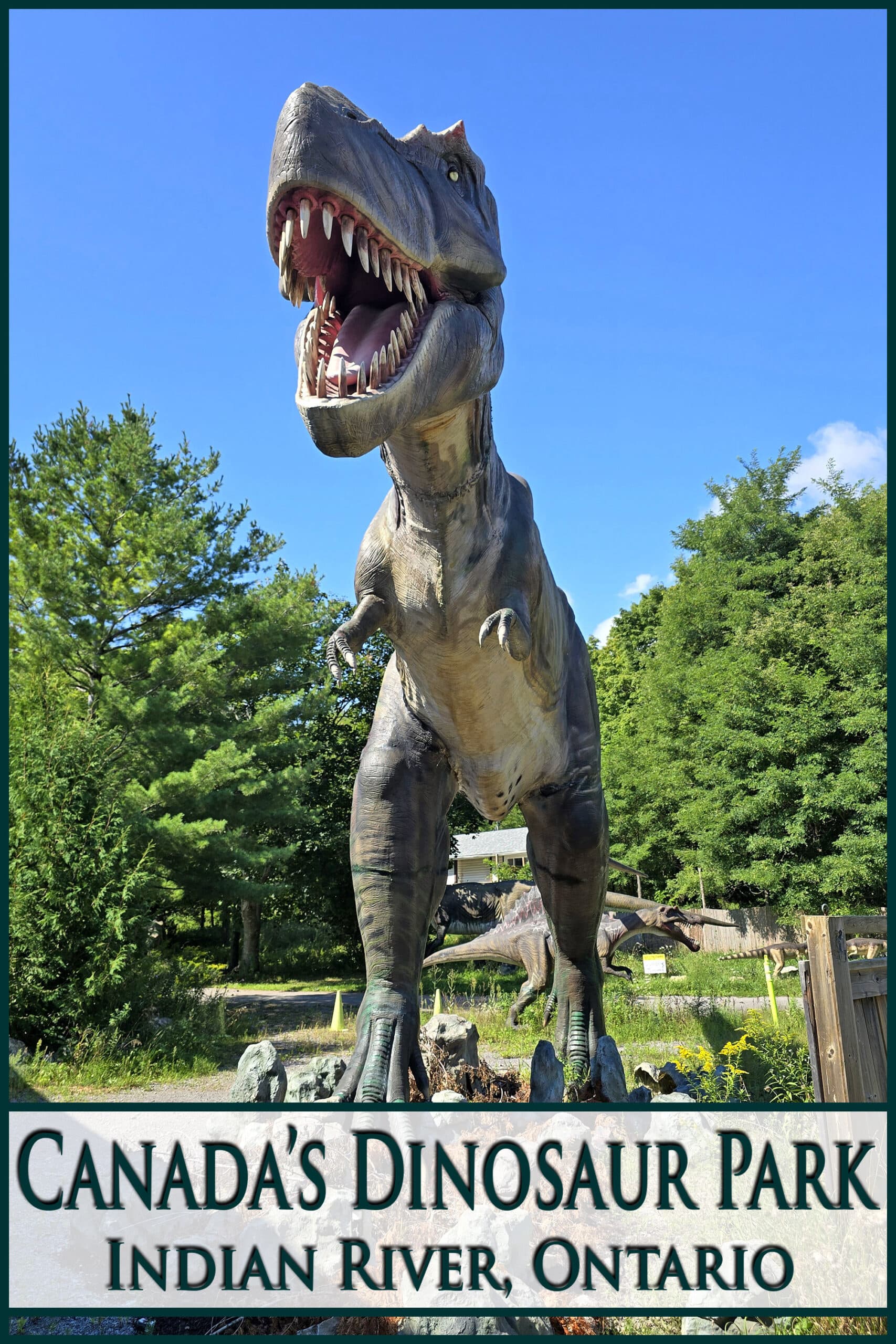 An outdoor lifesize tyrannosaurus rex. Overlaid text says canada’s dinosaur park indian river, ontario.