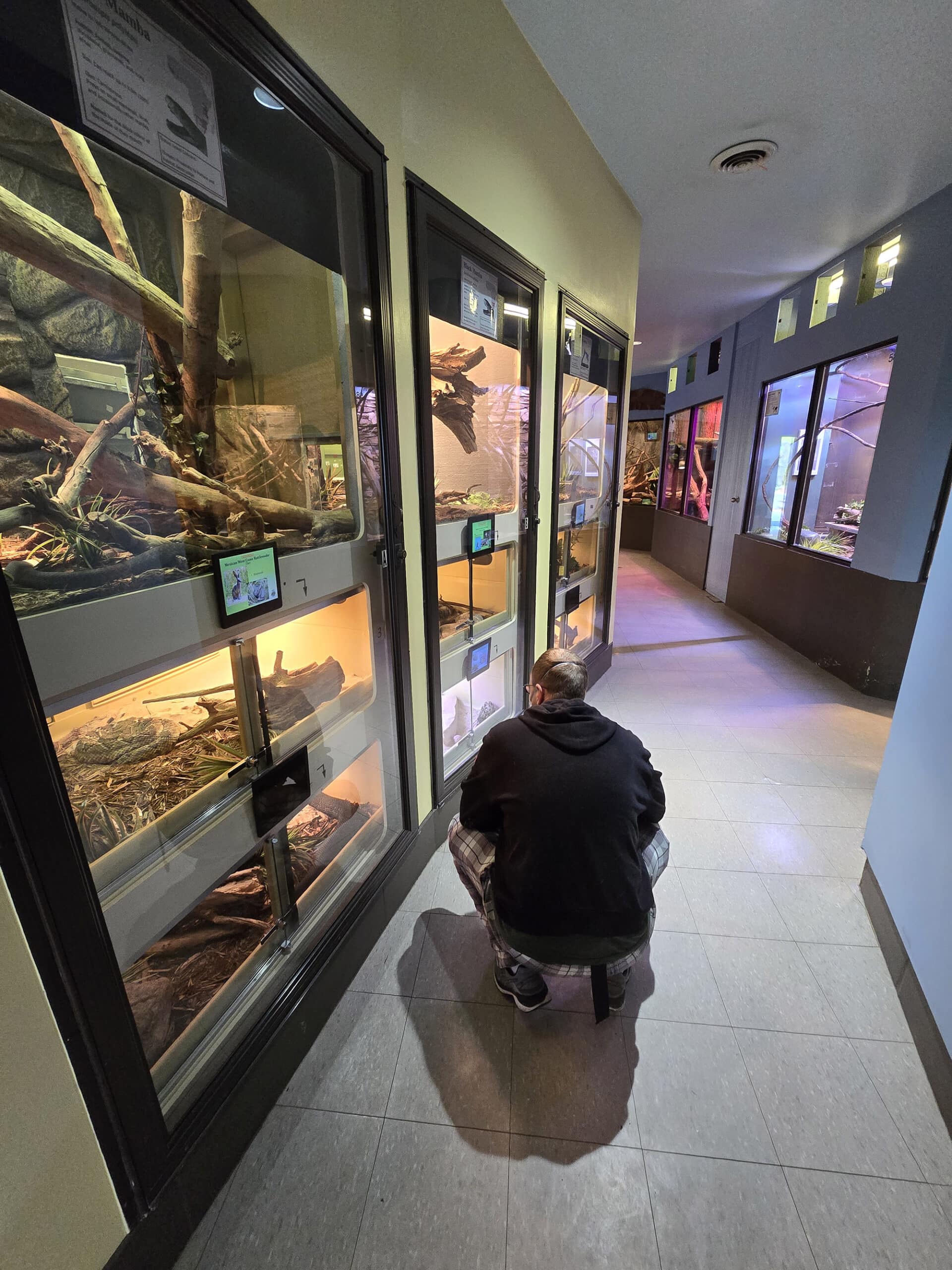 The author’s husband crouched down in an aisle of reptile habitats, to get a closer look.