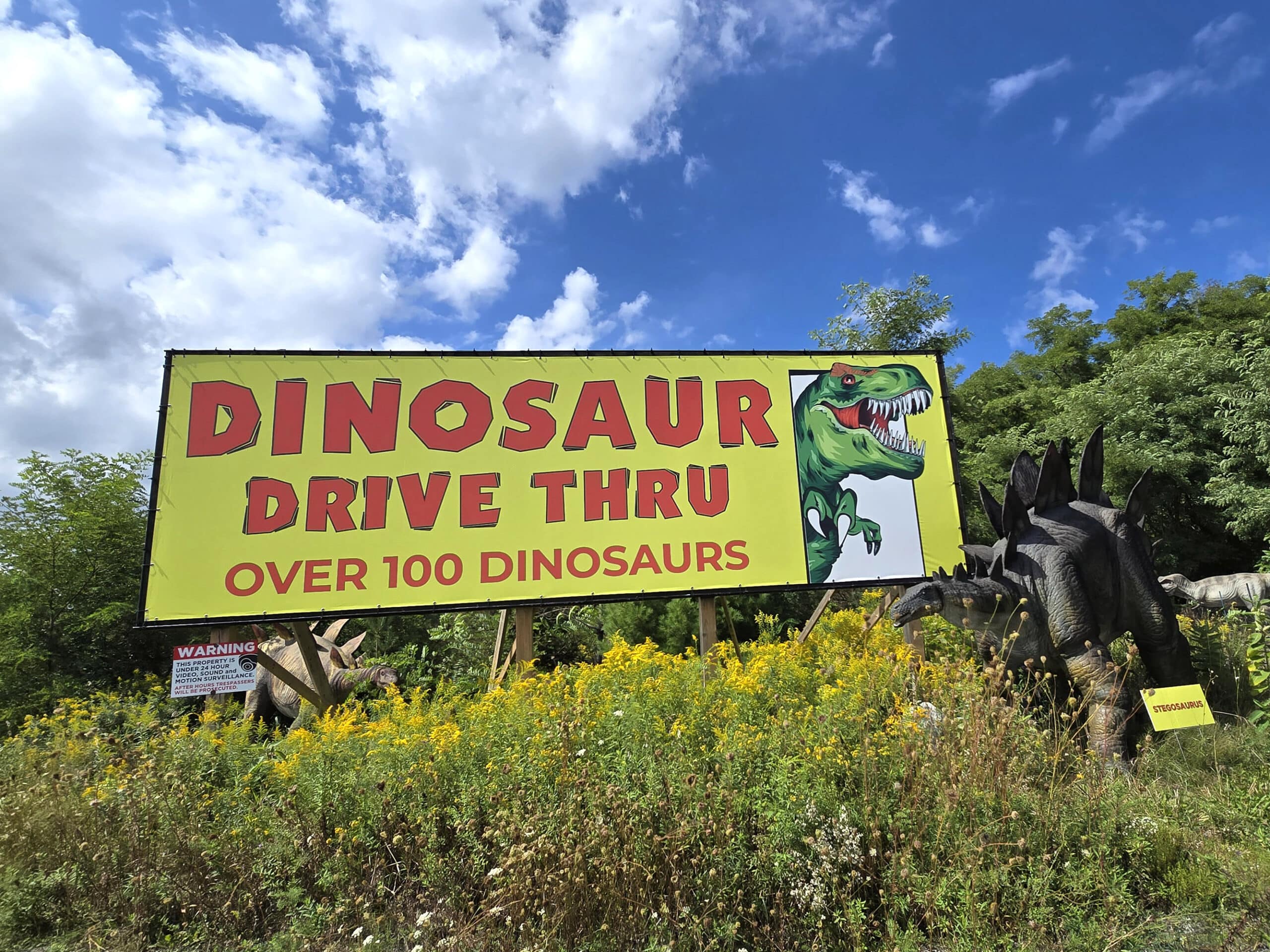 The dinosaur park drive thru sigh on the side of the highway.