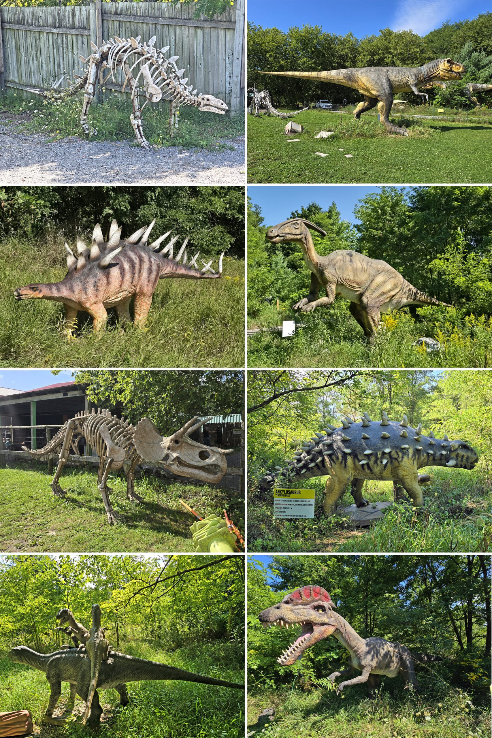 8  part image showing various dinosaurs at canada’s dinosaur park.