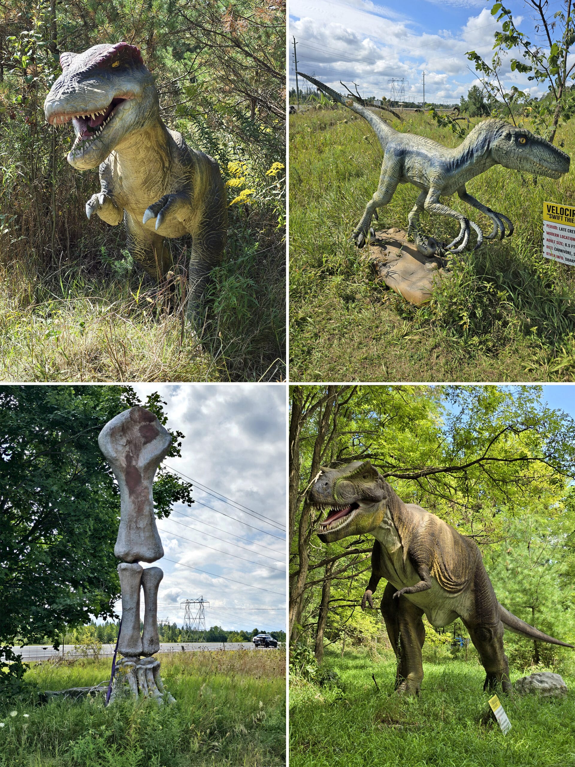 4  part image showing various dinosaurs at canada’s dinosaur park.