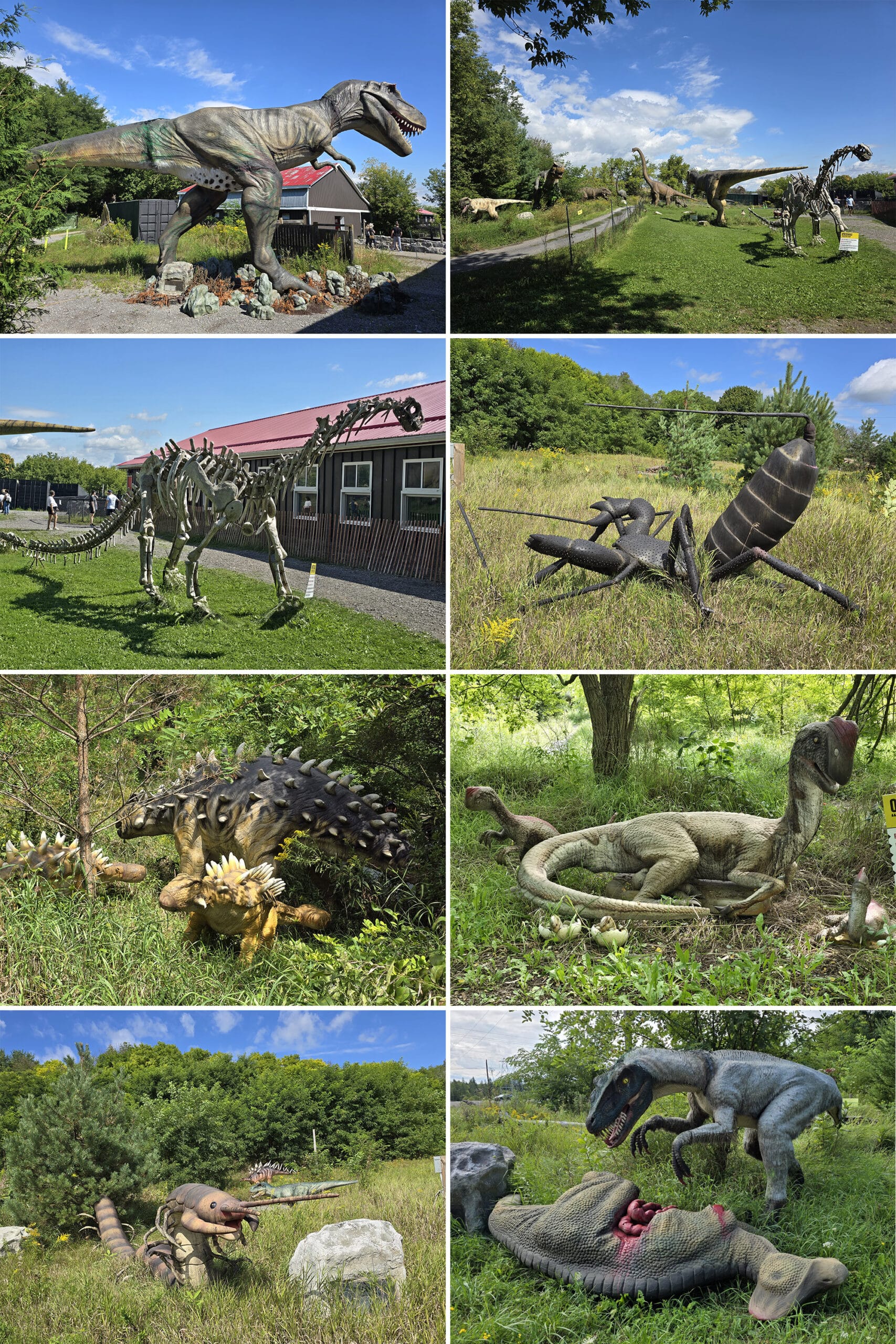 8  part image showing various dinosaurs at canada’s dinosaur park.