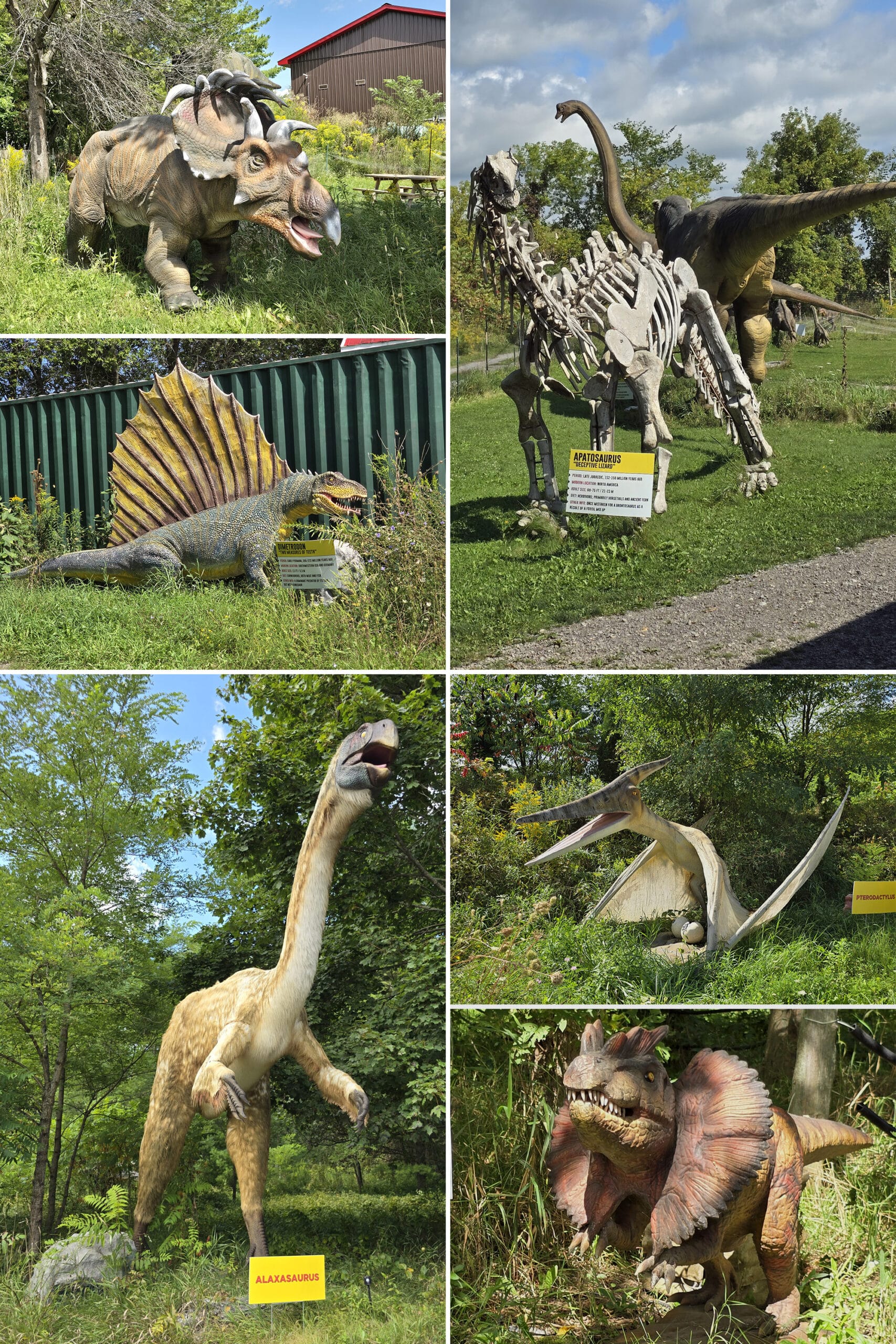 6 part image showing various dinosaurs at canada’s dinosaur park.