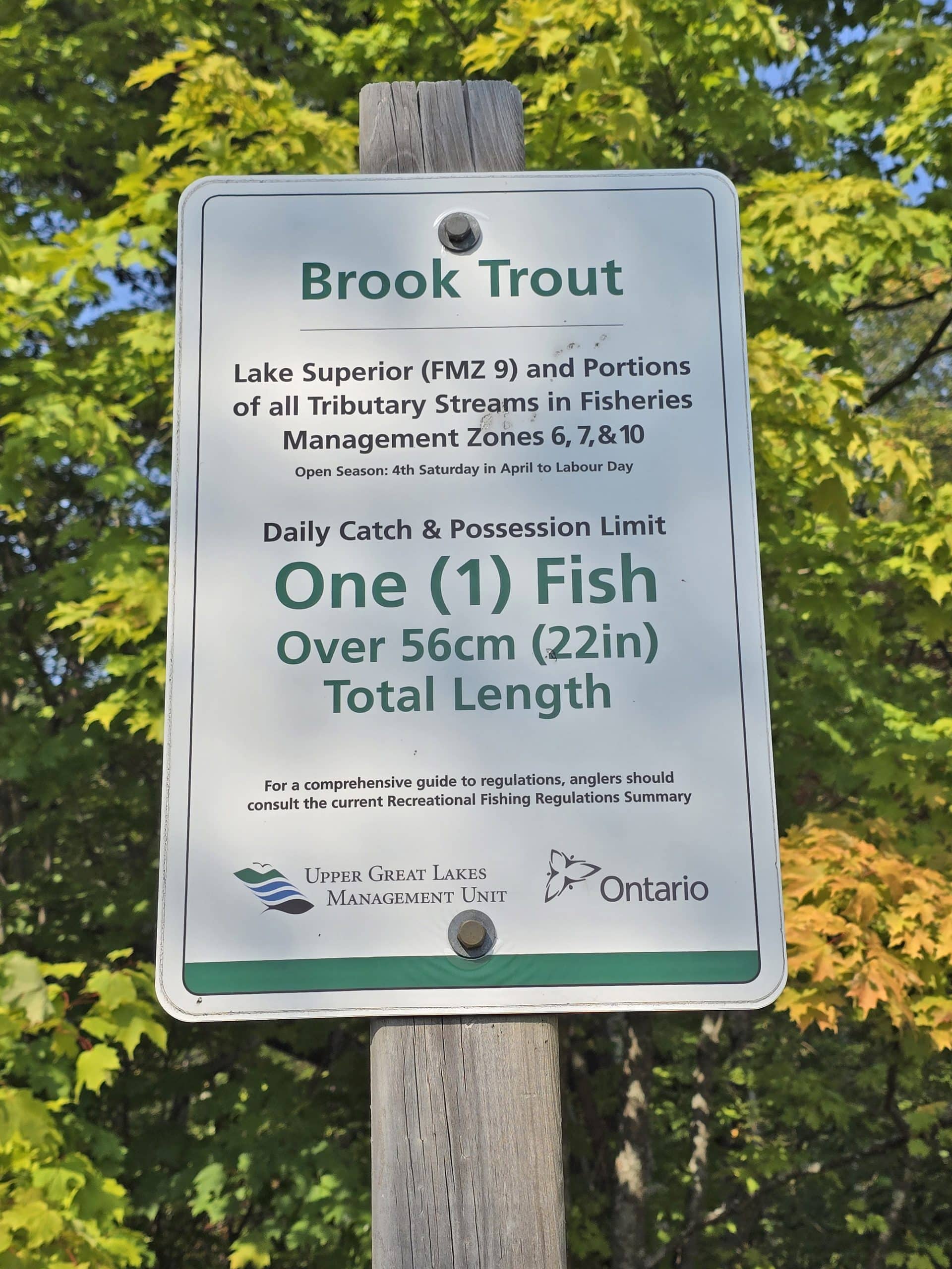 A sign about fishing limits for brook trout in the area.