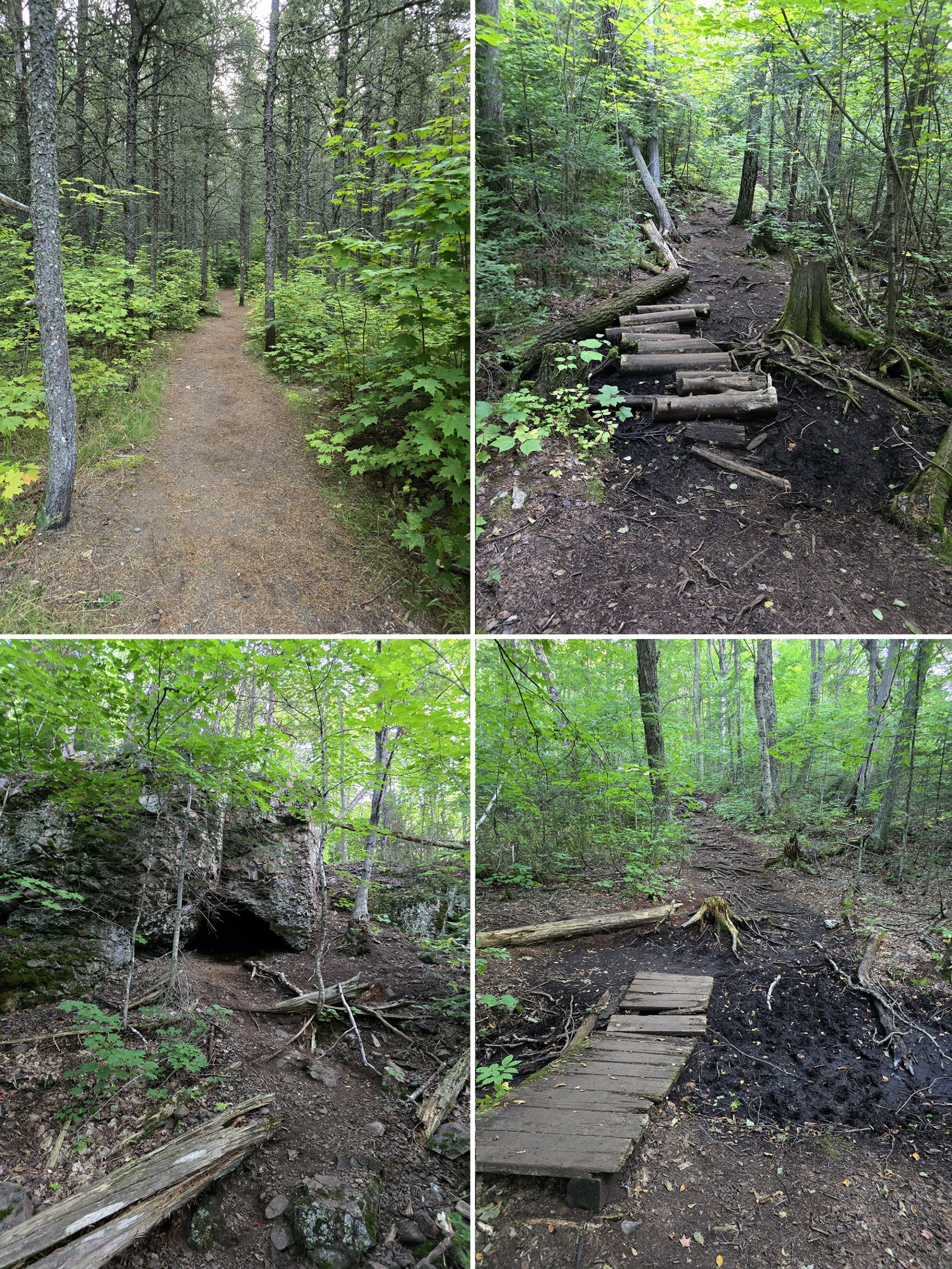 4 part image showing various views along the lookout trail.