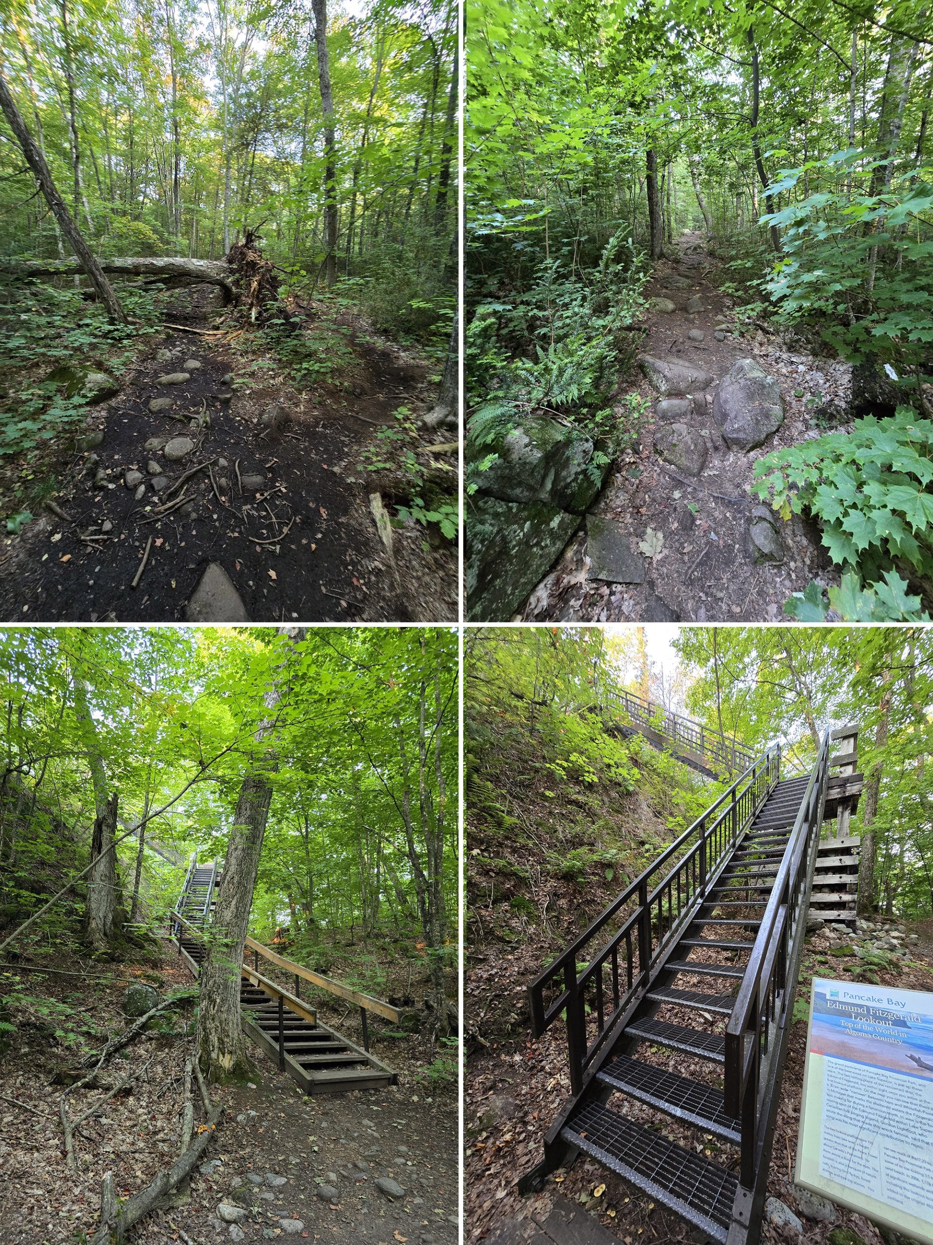 4 part image showing various views along the lookout trail.