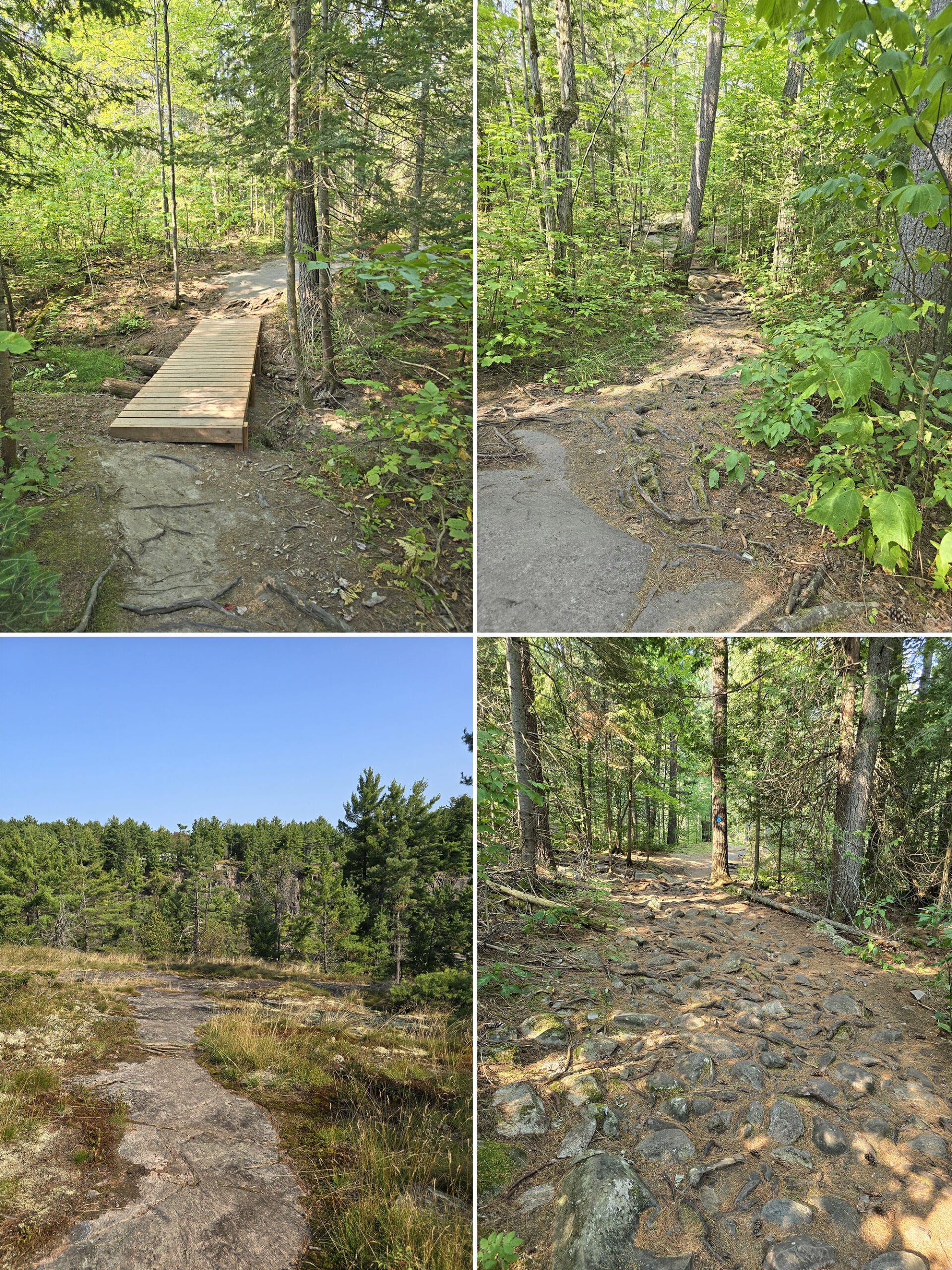 4 part image showing various views along the recollet falls trail at french river provincial park.