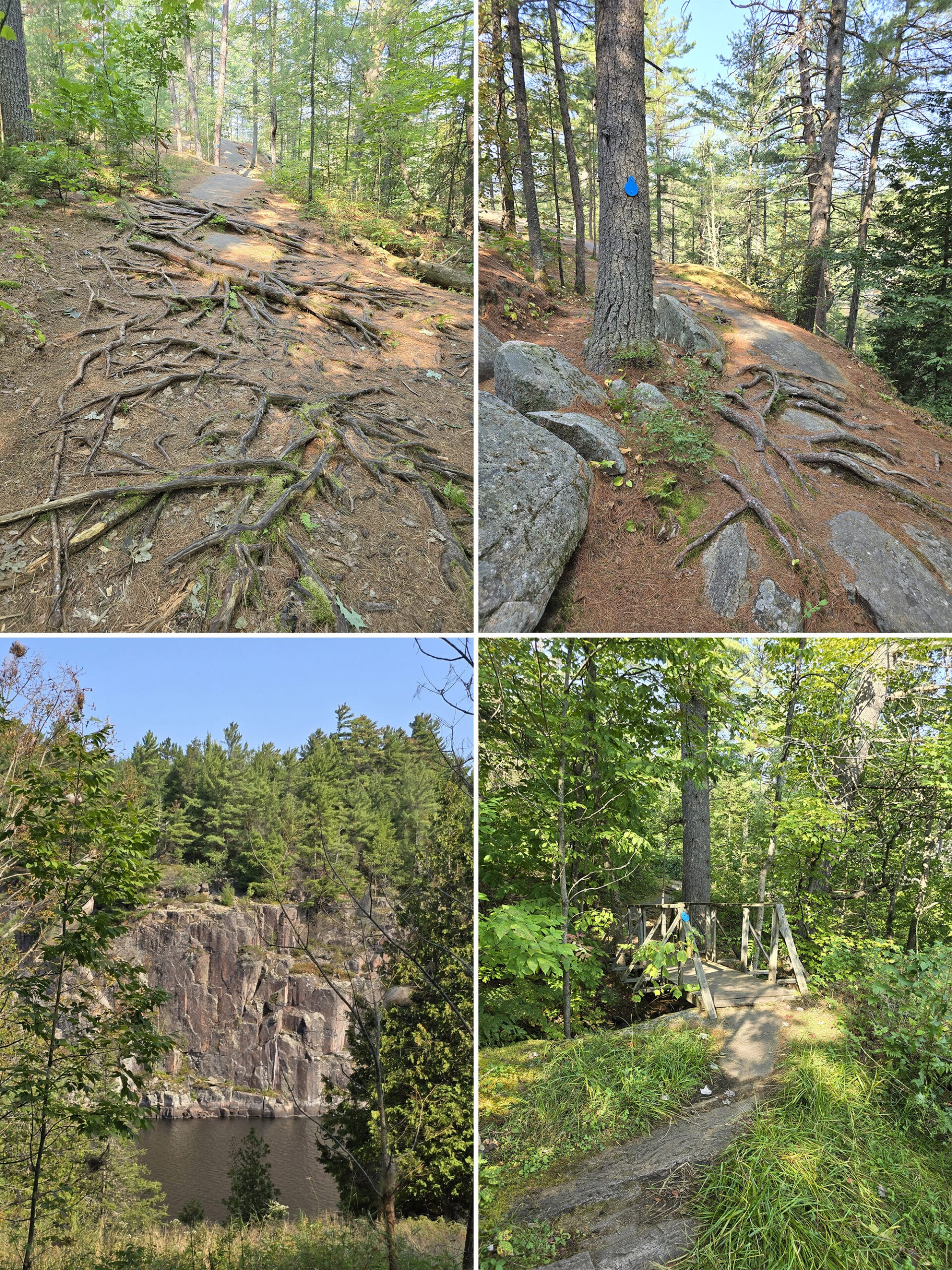 4 part image showing various views along the recollet falls trail at french river provincial park.