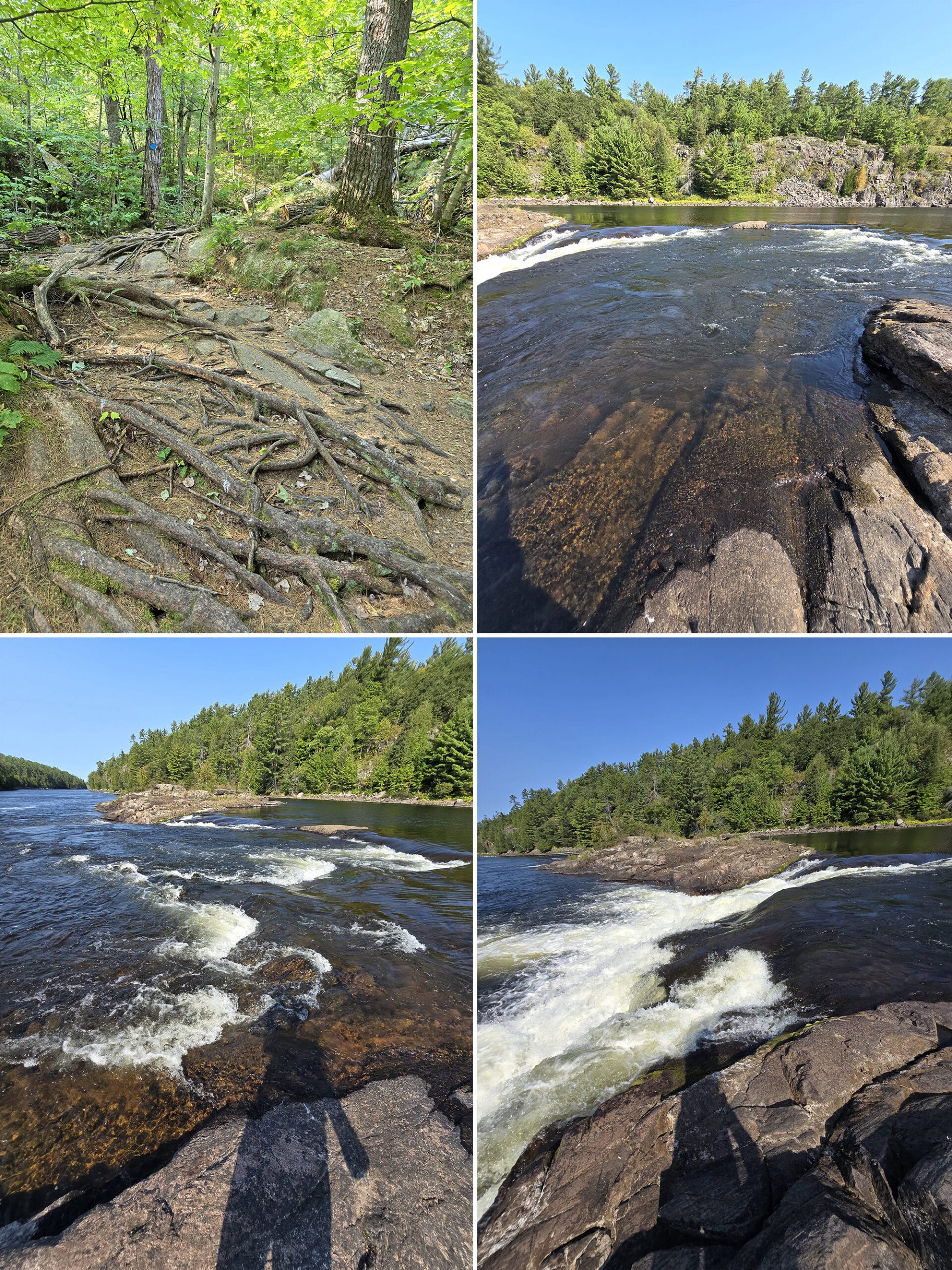 4 part image showing various views along the recollet falls trail at french river provincial park.