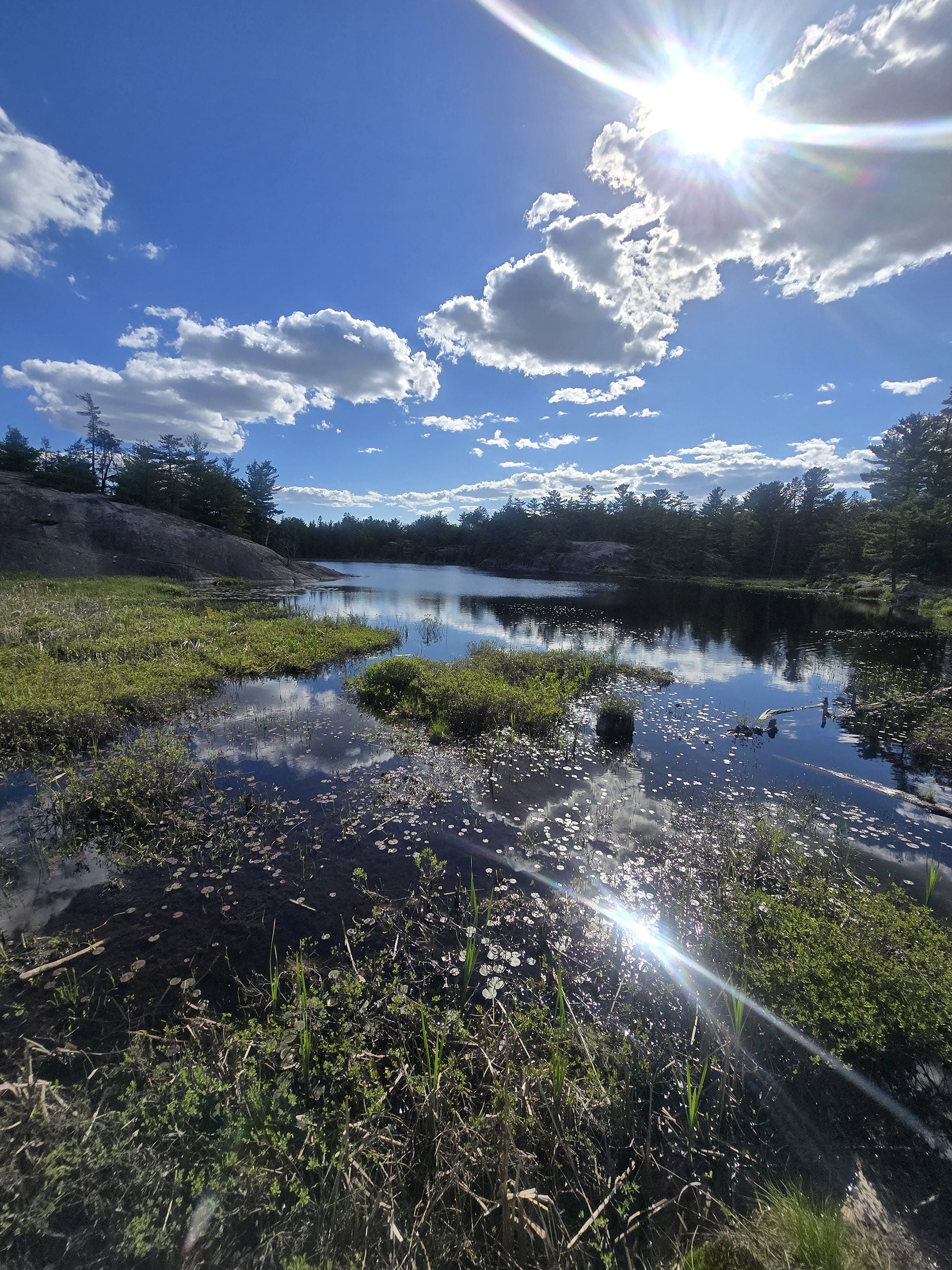 A scenic view over a lake at Grundy Lake Provincial Park