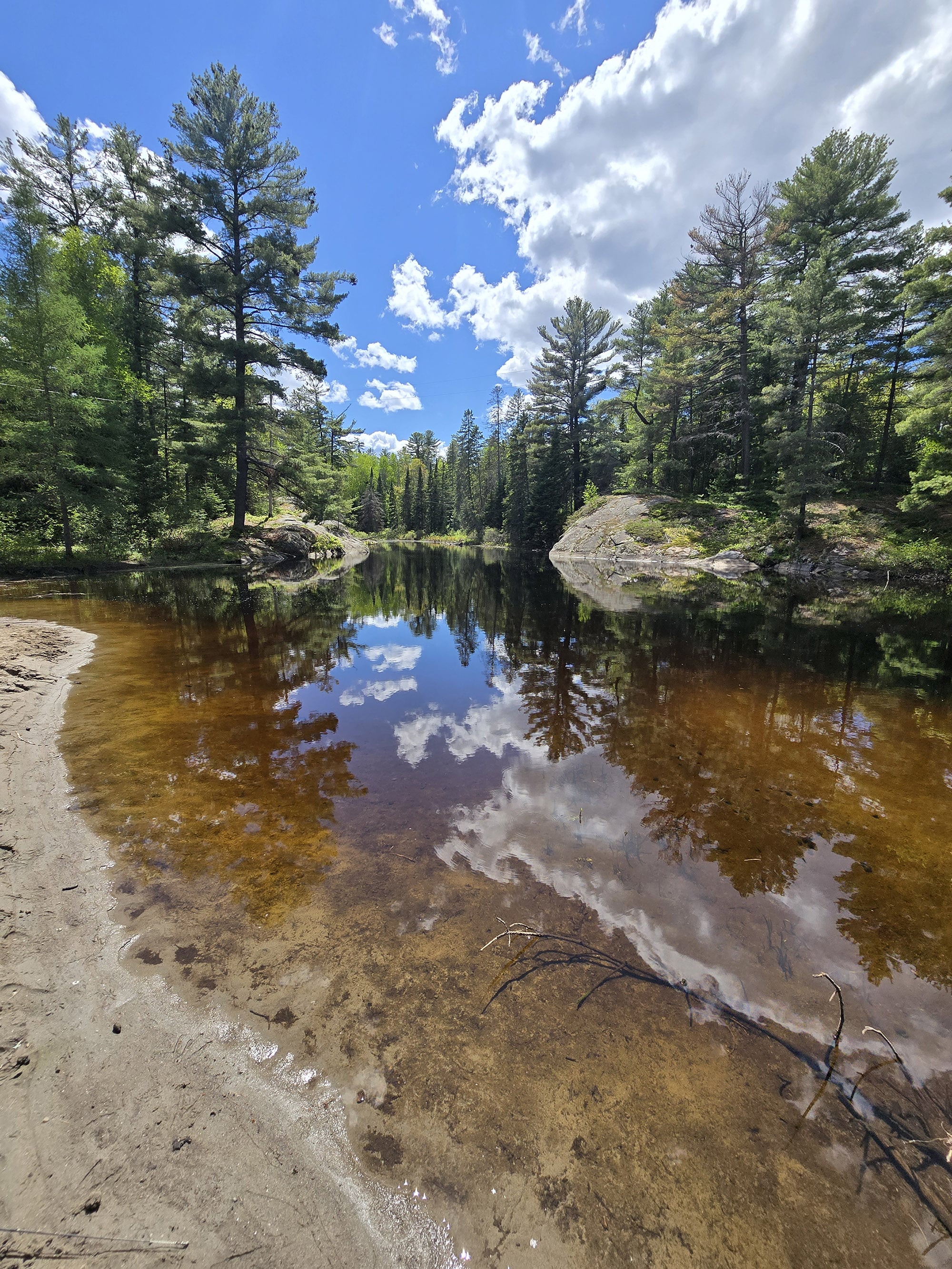 A scenic view over a lake at Grundy Lake Provincial Park.
