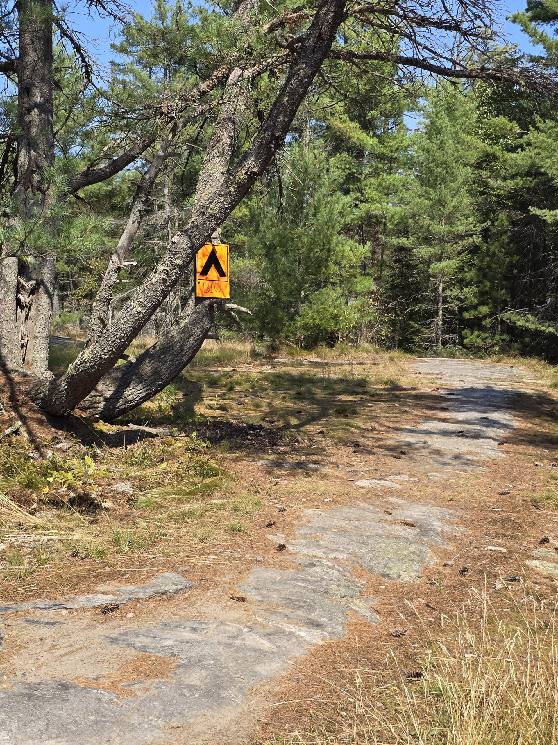 A rustic trail with a sign for a backcountry campsite.